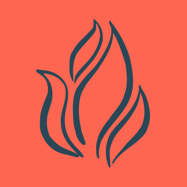 Line drawing of stylized flames on a coral background.