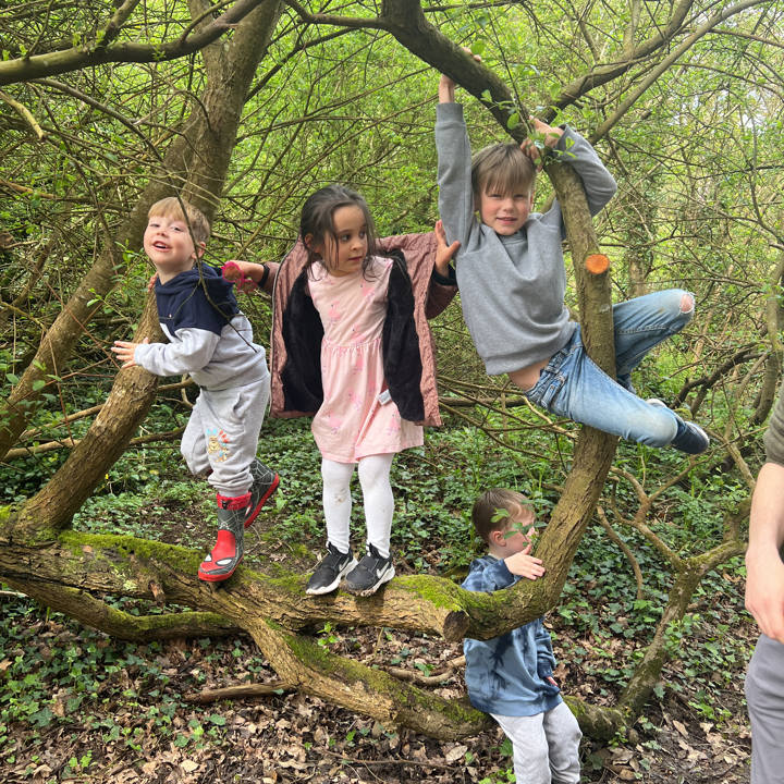 Four children playing on a tree in a wooded area, some climbing and others sitting, surrounded by greenery.