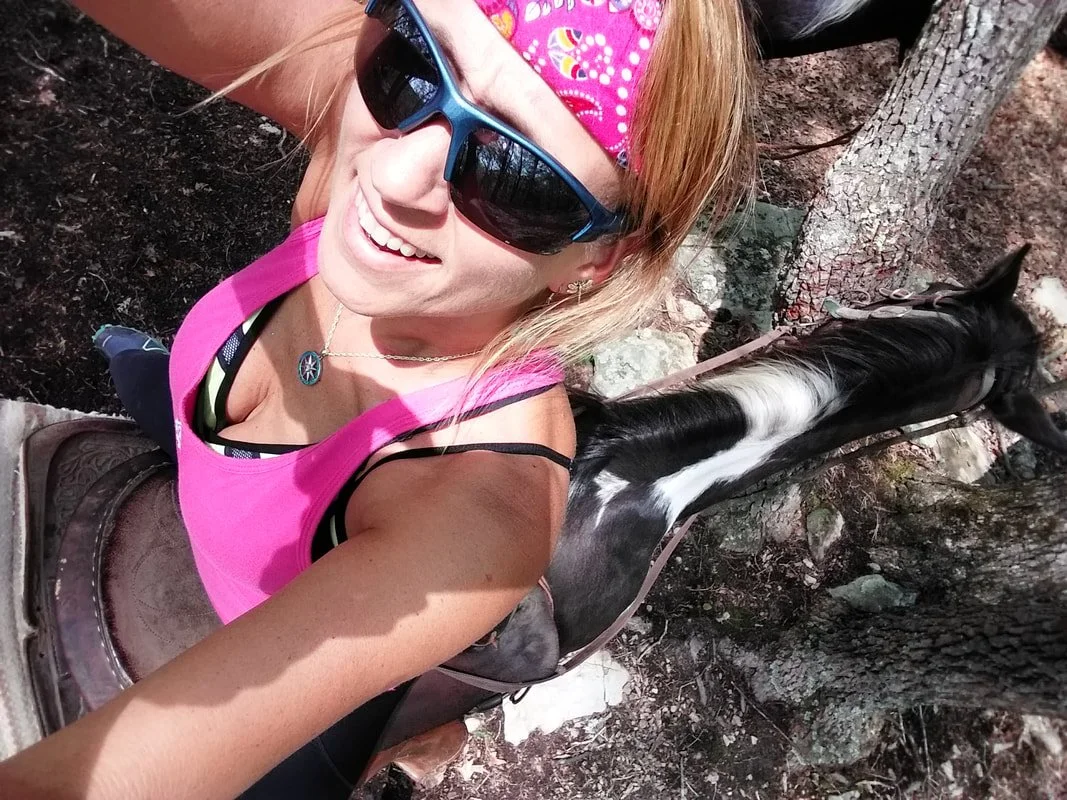 Hey this horse doesn't work right. Anybody know a mechanic?