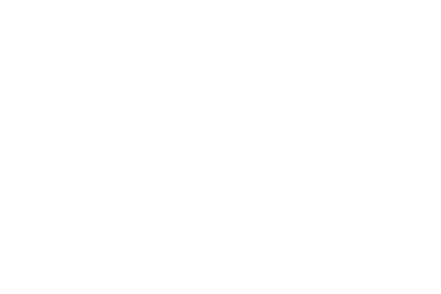 FOX 29 Philadelphia news, The 215  covers Heather Chirtea, the nation's first female flying car pilot in the Flying Car