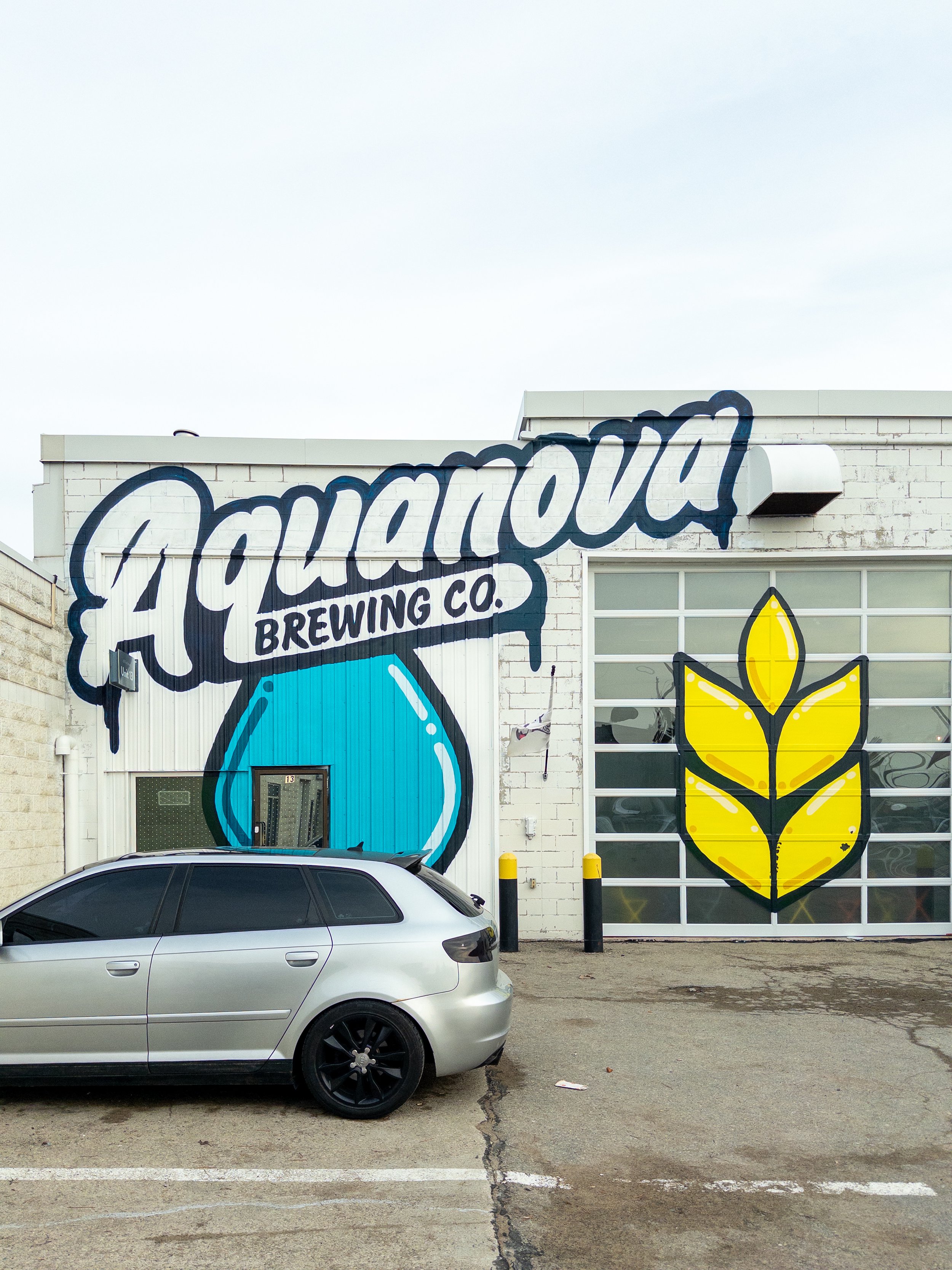 SUN + SHINE AT AQUANOVA