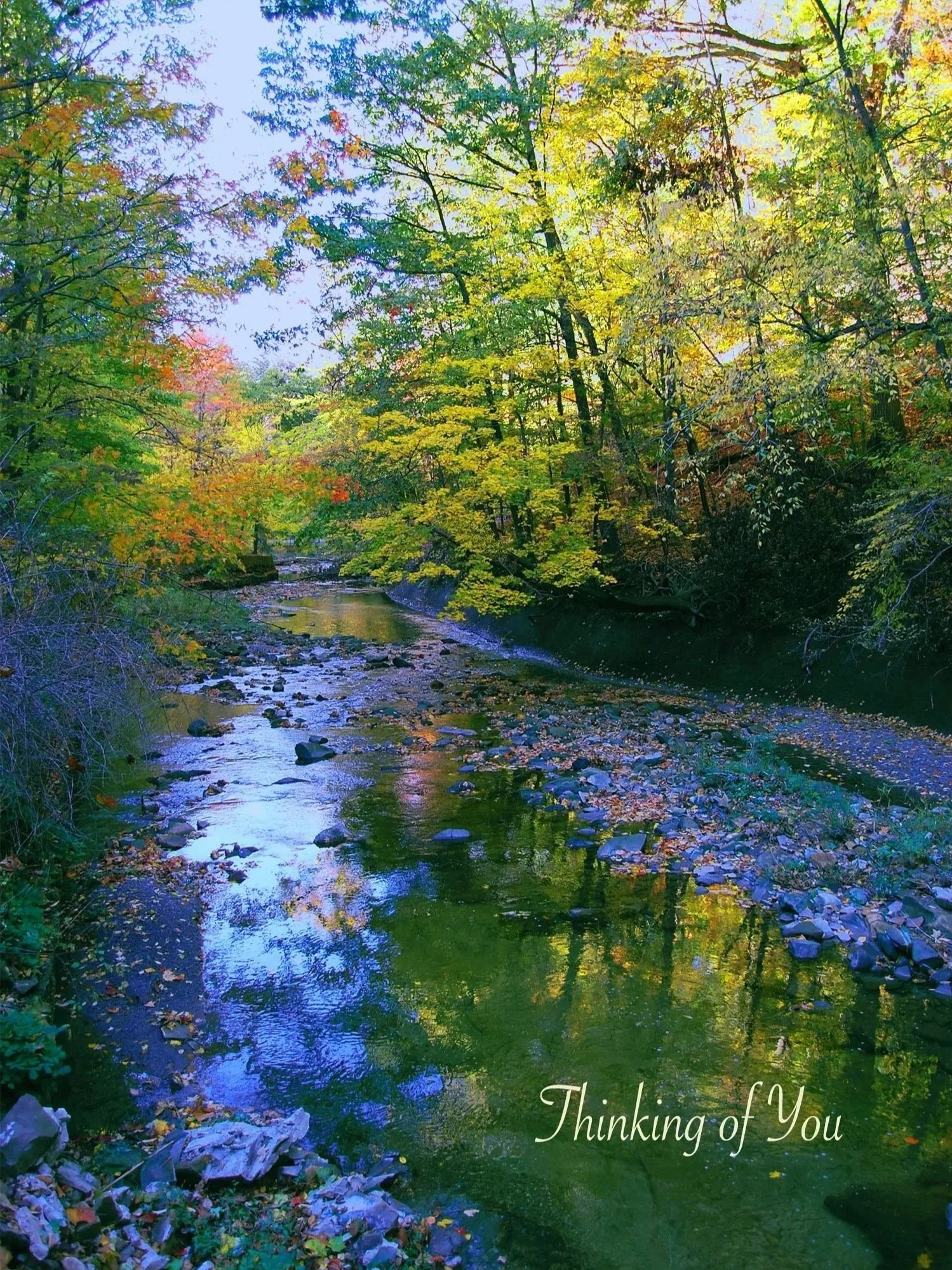 PathThoughtofyou%2Bcopy.jpg