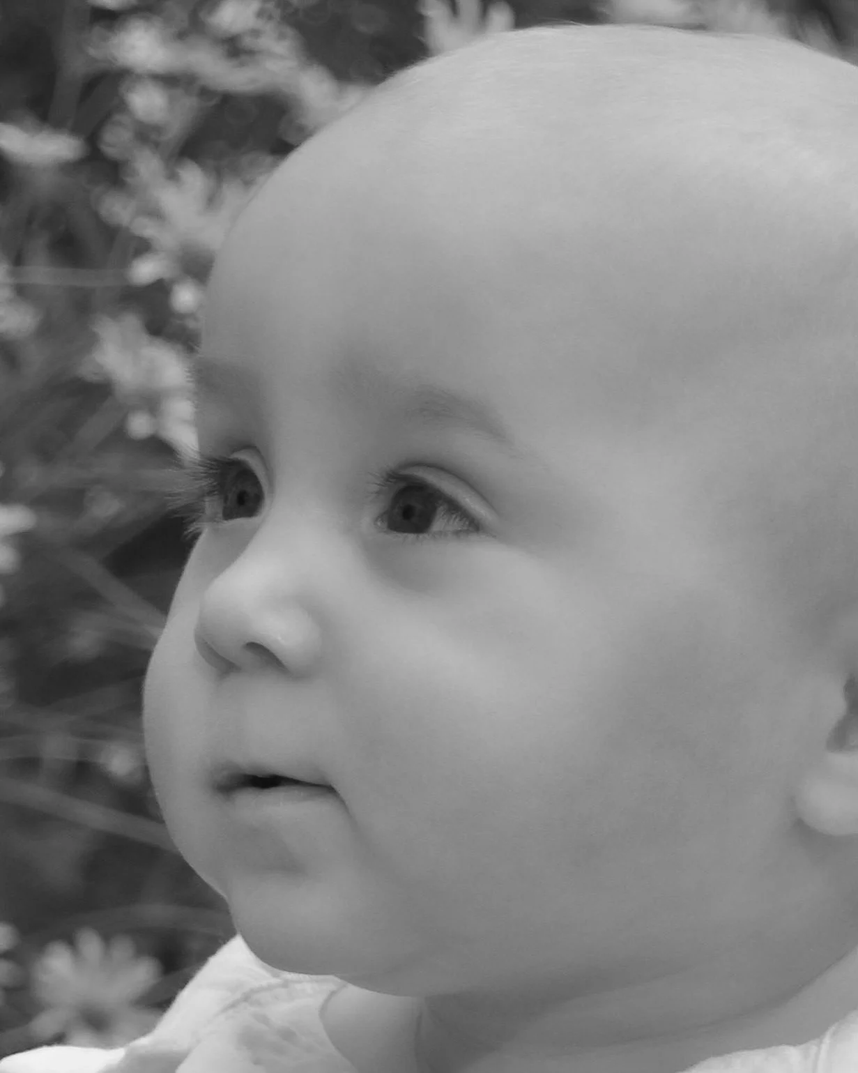 DSC_5099ab.jpg