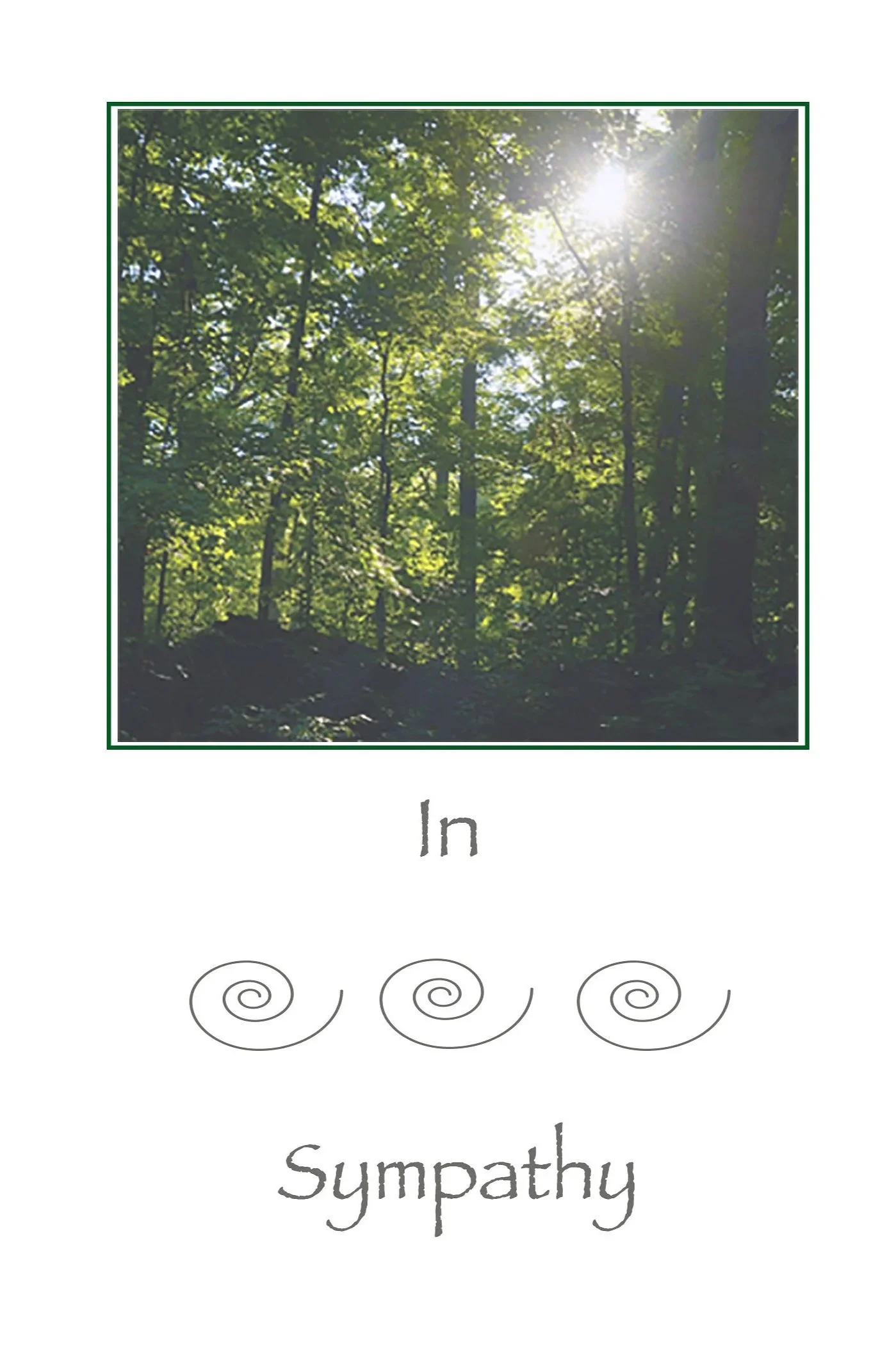 SympathyRayCoverB+copy.jpg