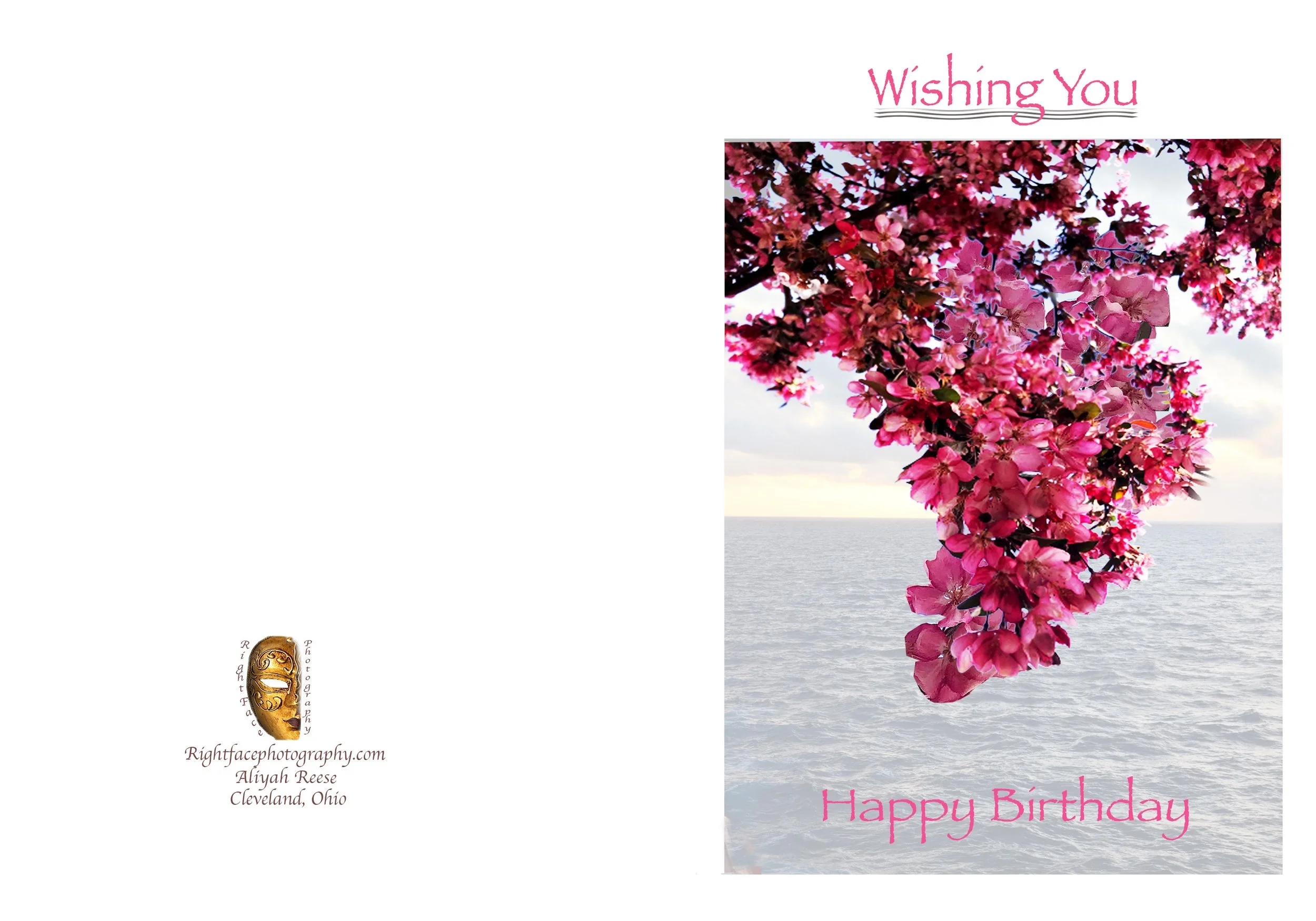 HBDPinkWishing You.jpg