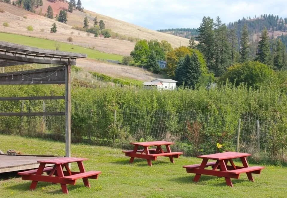 Three red picnic tables on a grassy area with a scenic background of rolling hills, trees, and Tony's Craft Cidery.