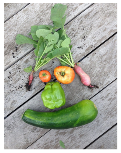 Field Notes: Farm to School Outreach in Southern Indiana