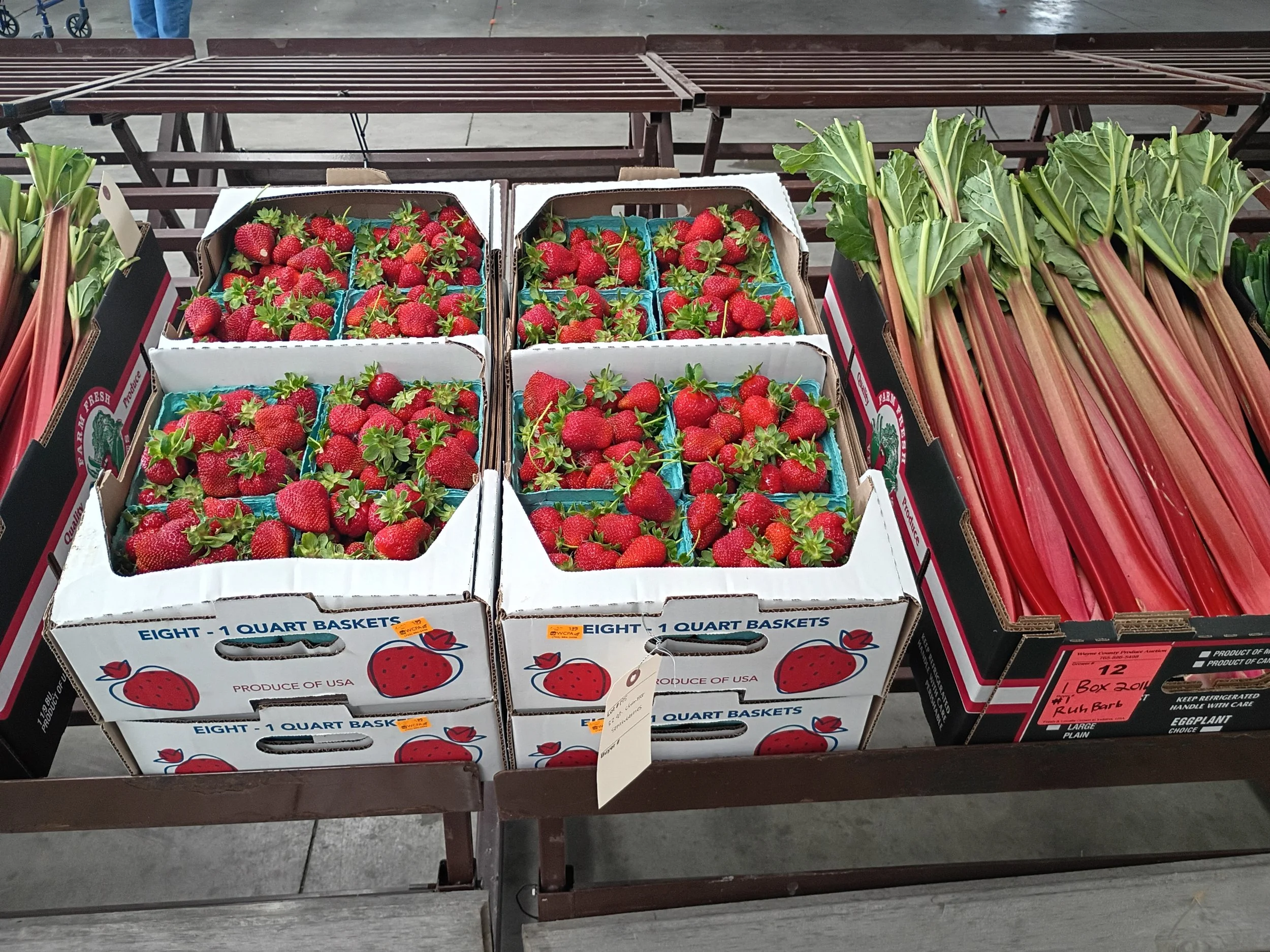 FARMWISE Newsletter: April 2026