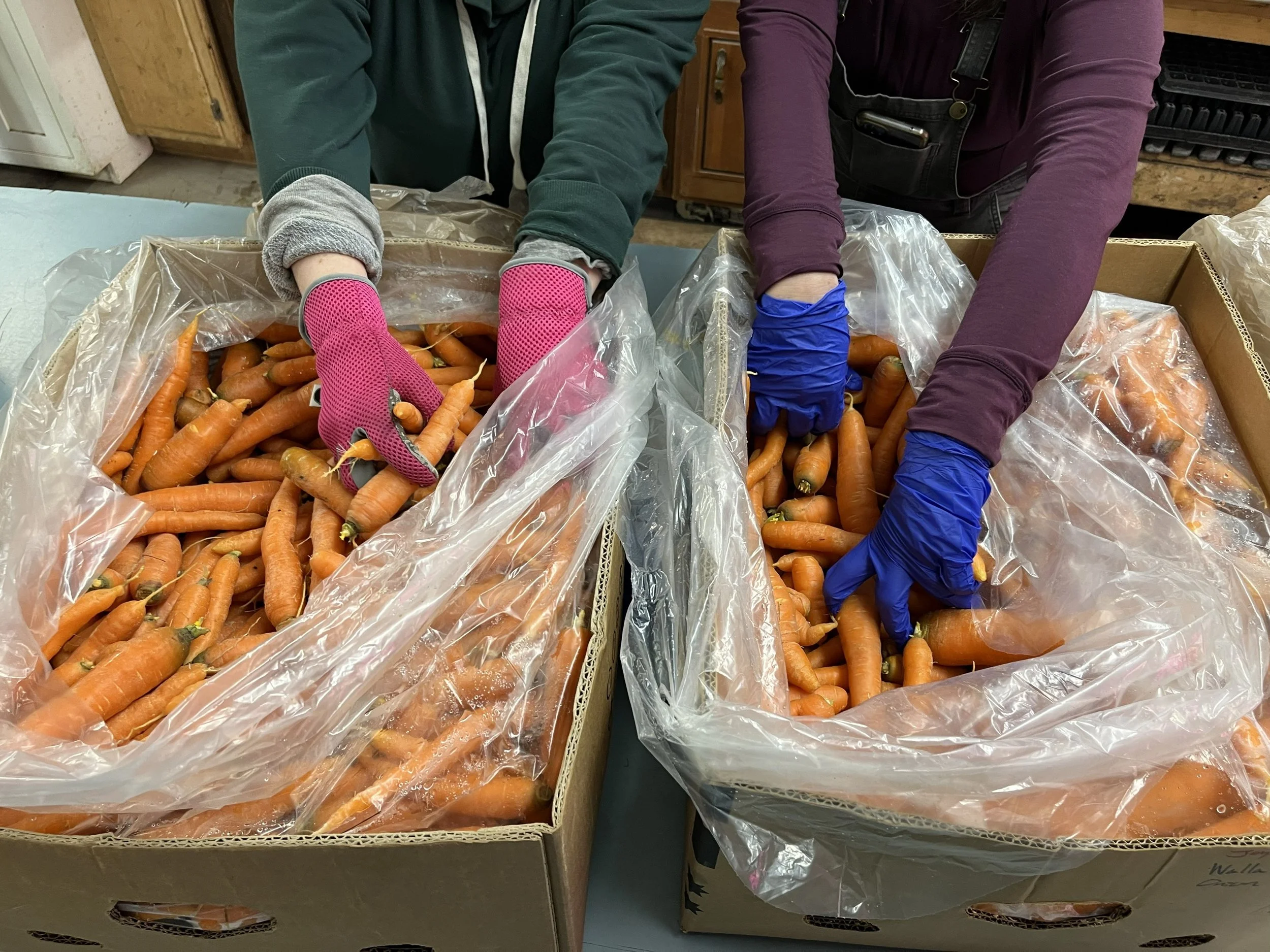 More Than Sales: The Human Work of Food Systems