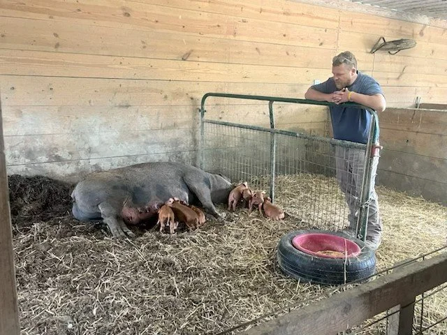 A Study in Rural Farm to School Success