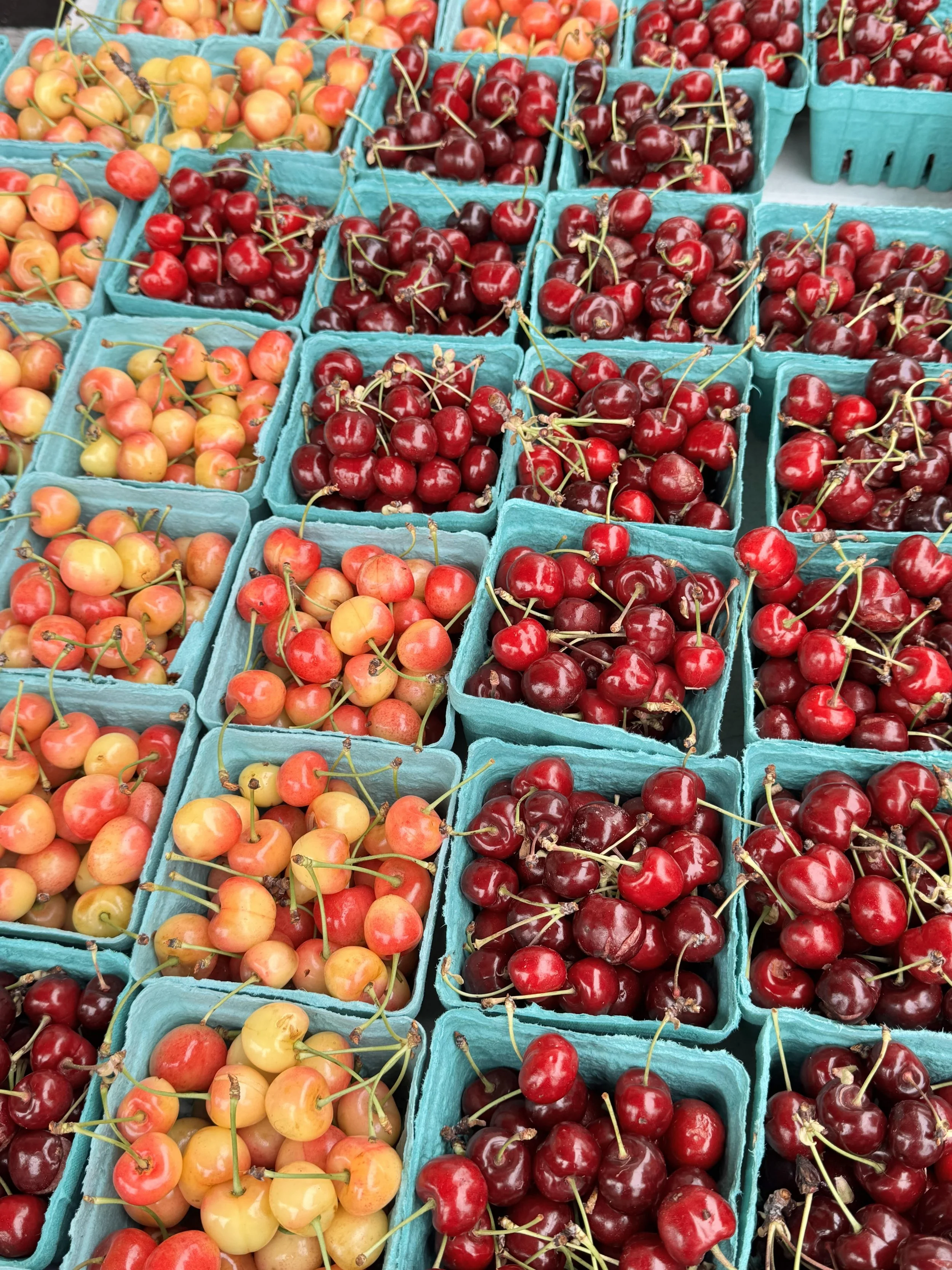 FARMWISE Newsletter: May 2026