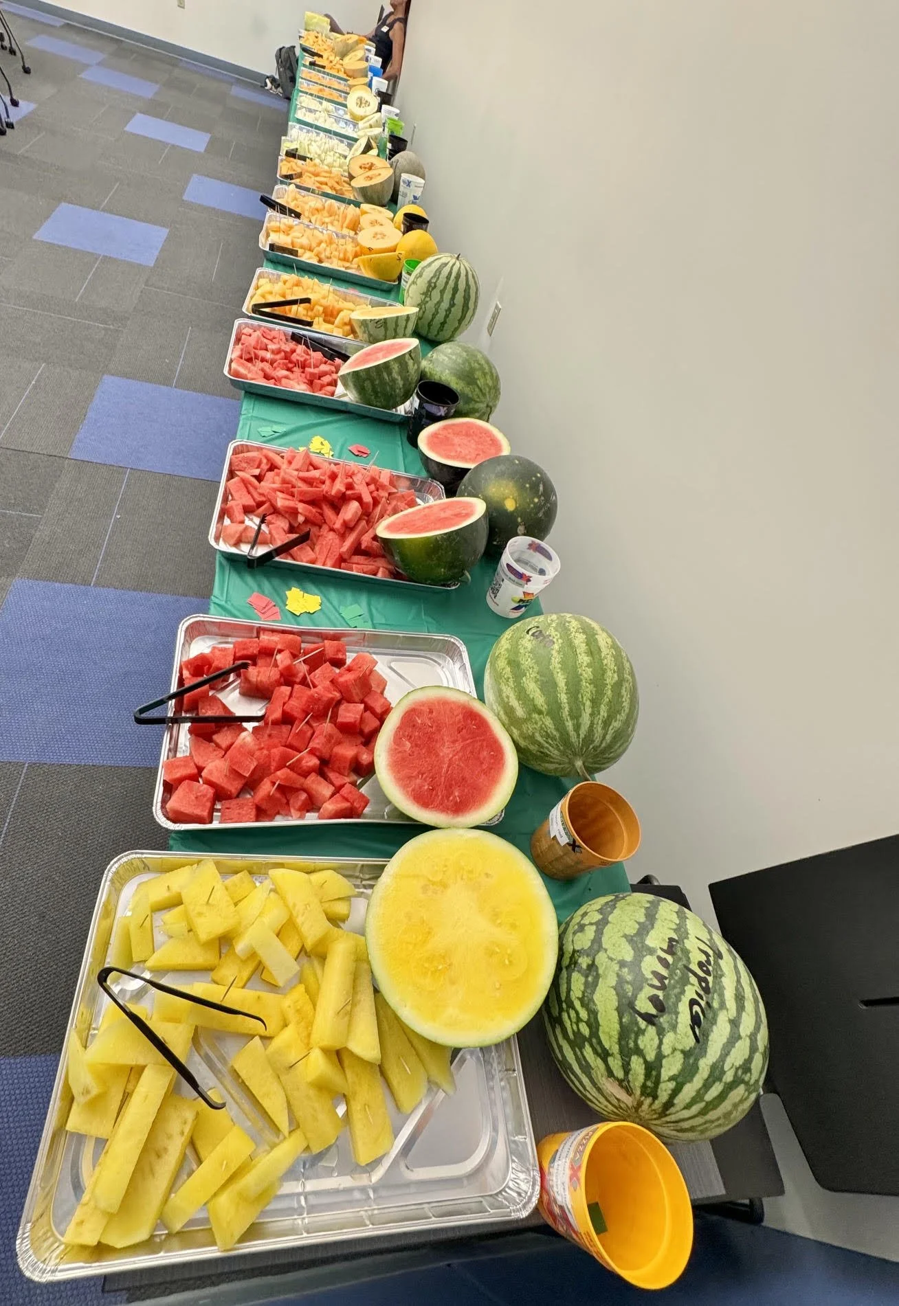 Indiana Melon Field Day and Tasting