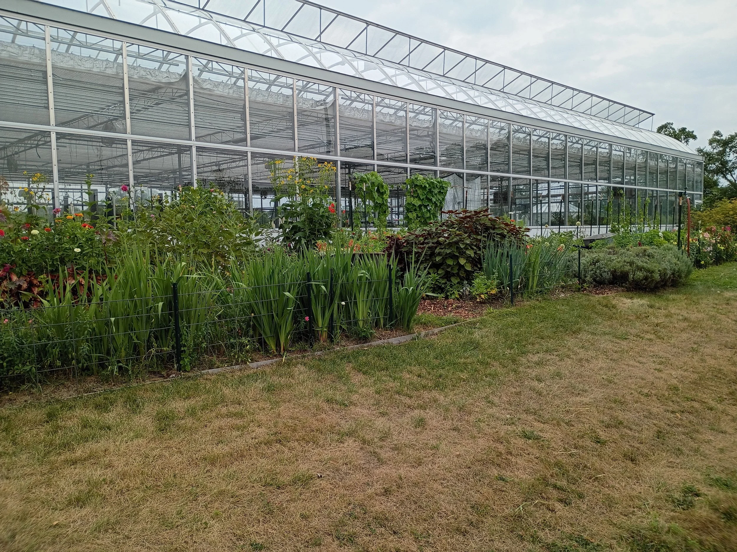 Inside a Food Hub: What FARMWISE Indiana Learned in Kalamazoo 