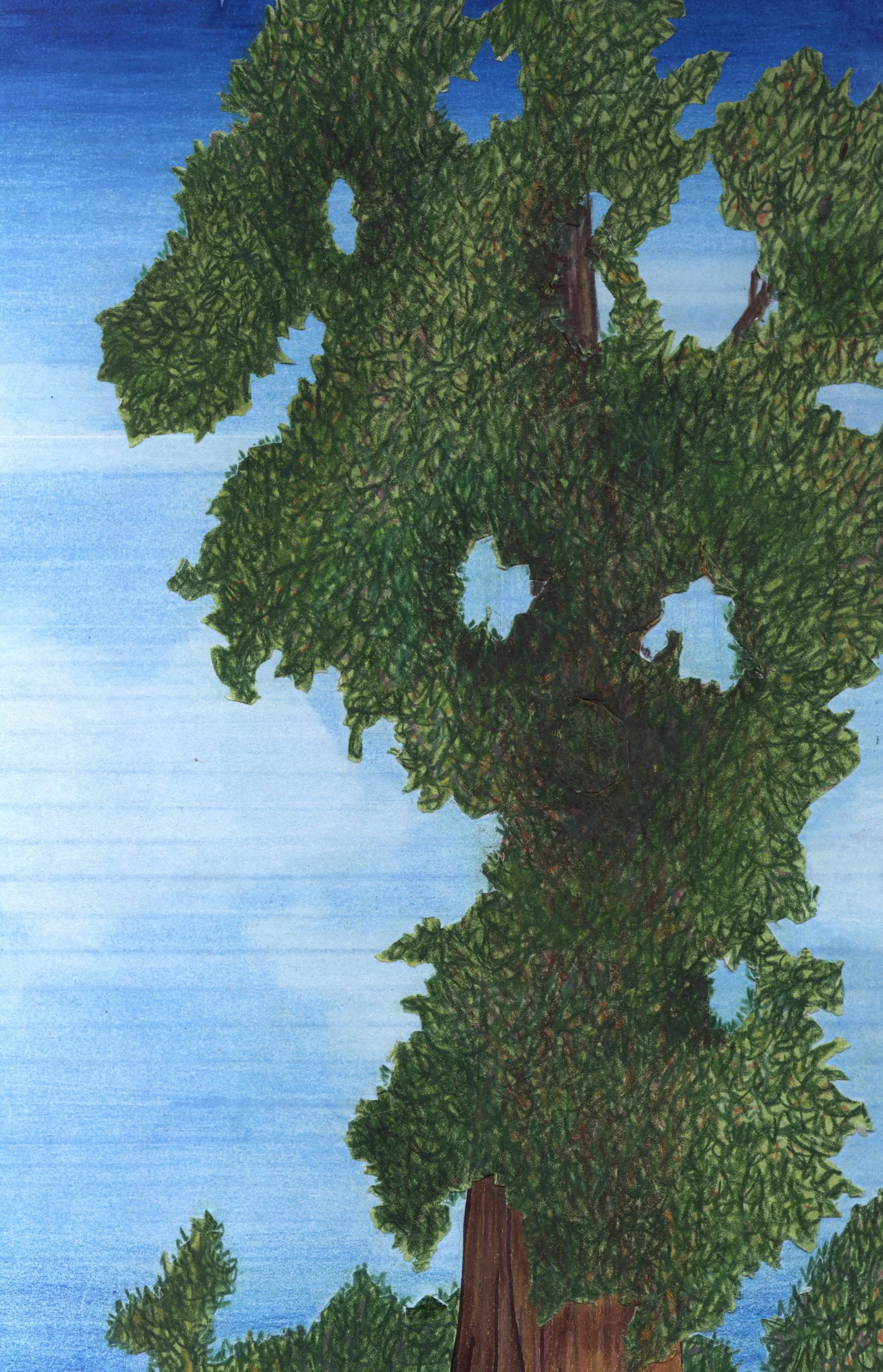 sequoia+park.jpg