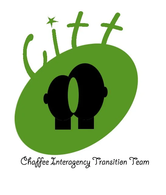 CITT copy.jpg
