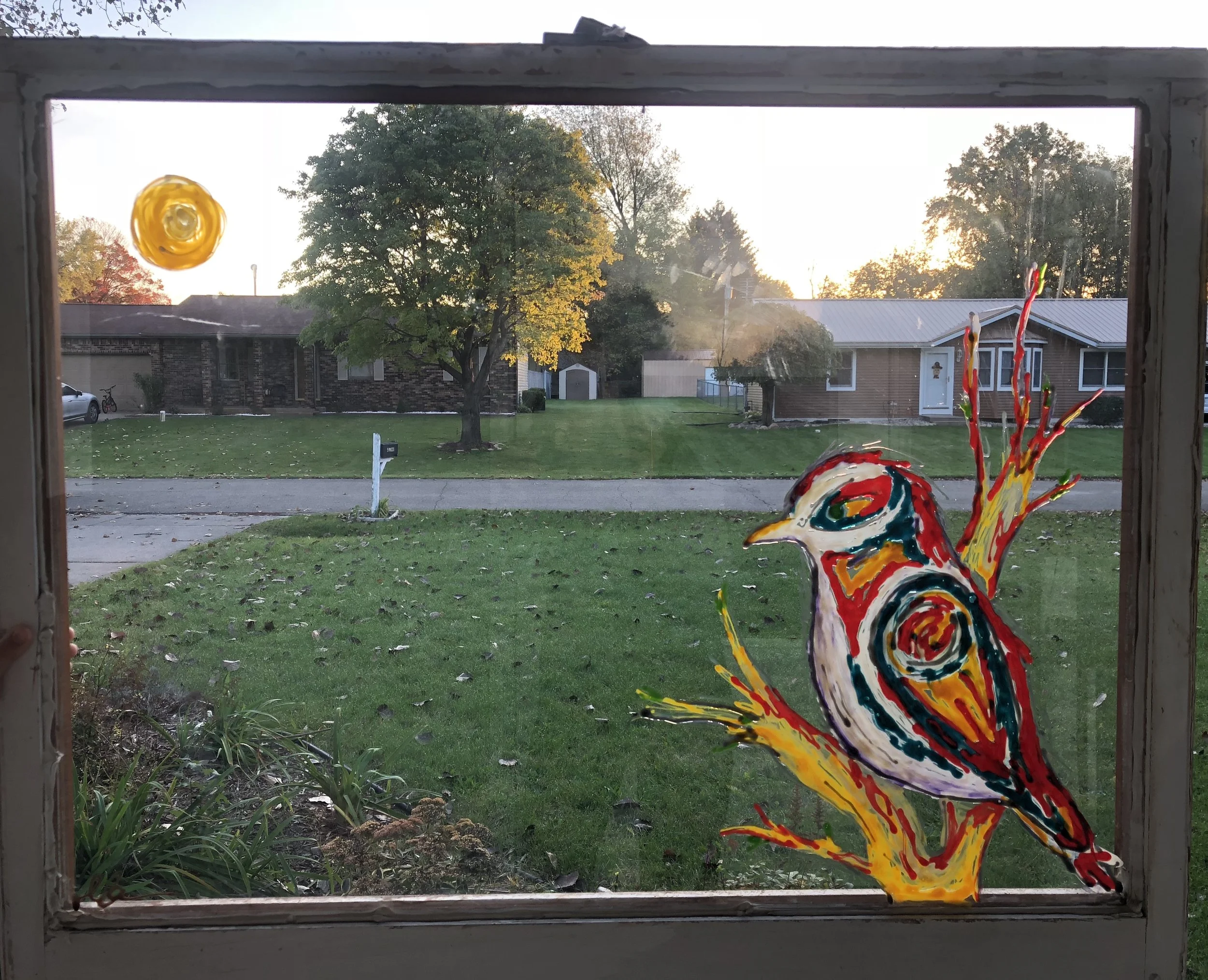 35wx28h Bird light.JPG