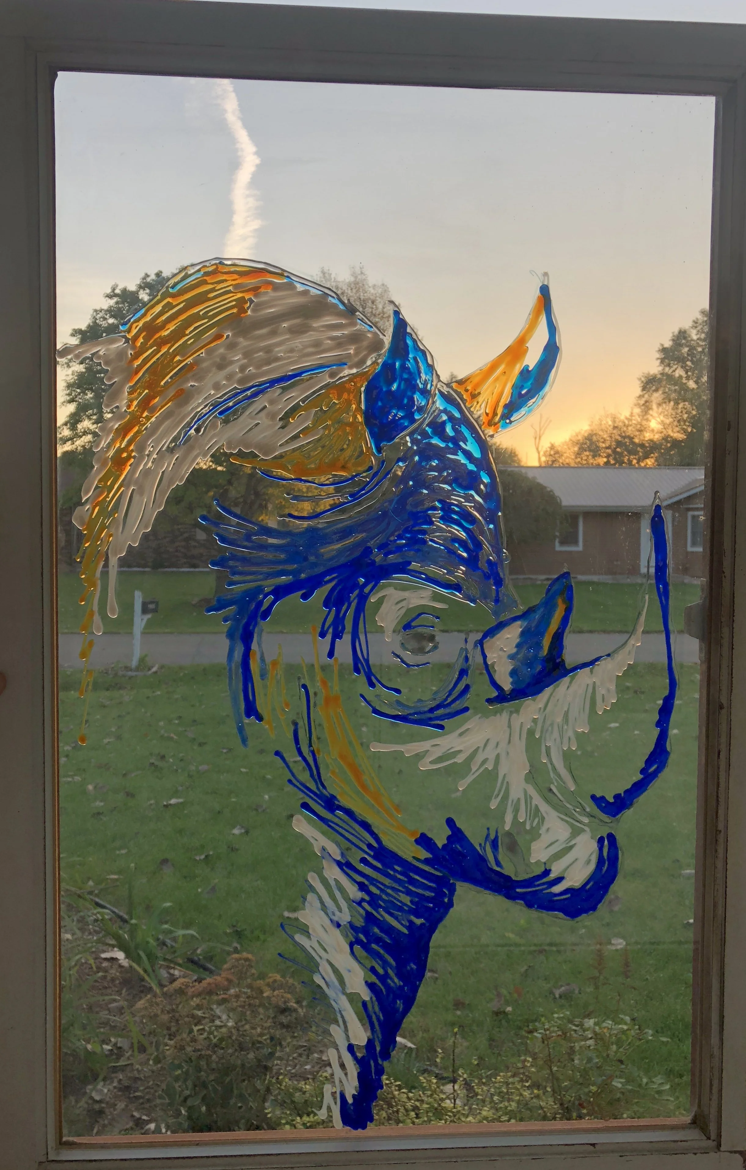 23wx35h Rhino light.JPG