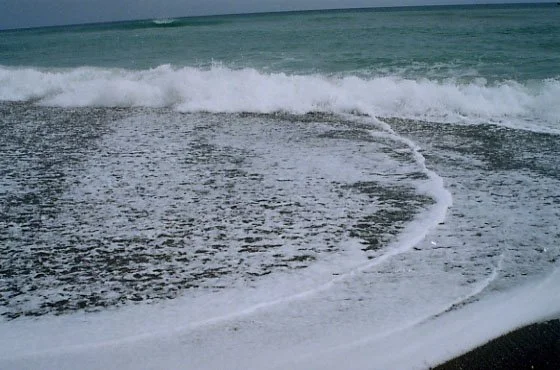 West Palm's Waves.jpg
