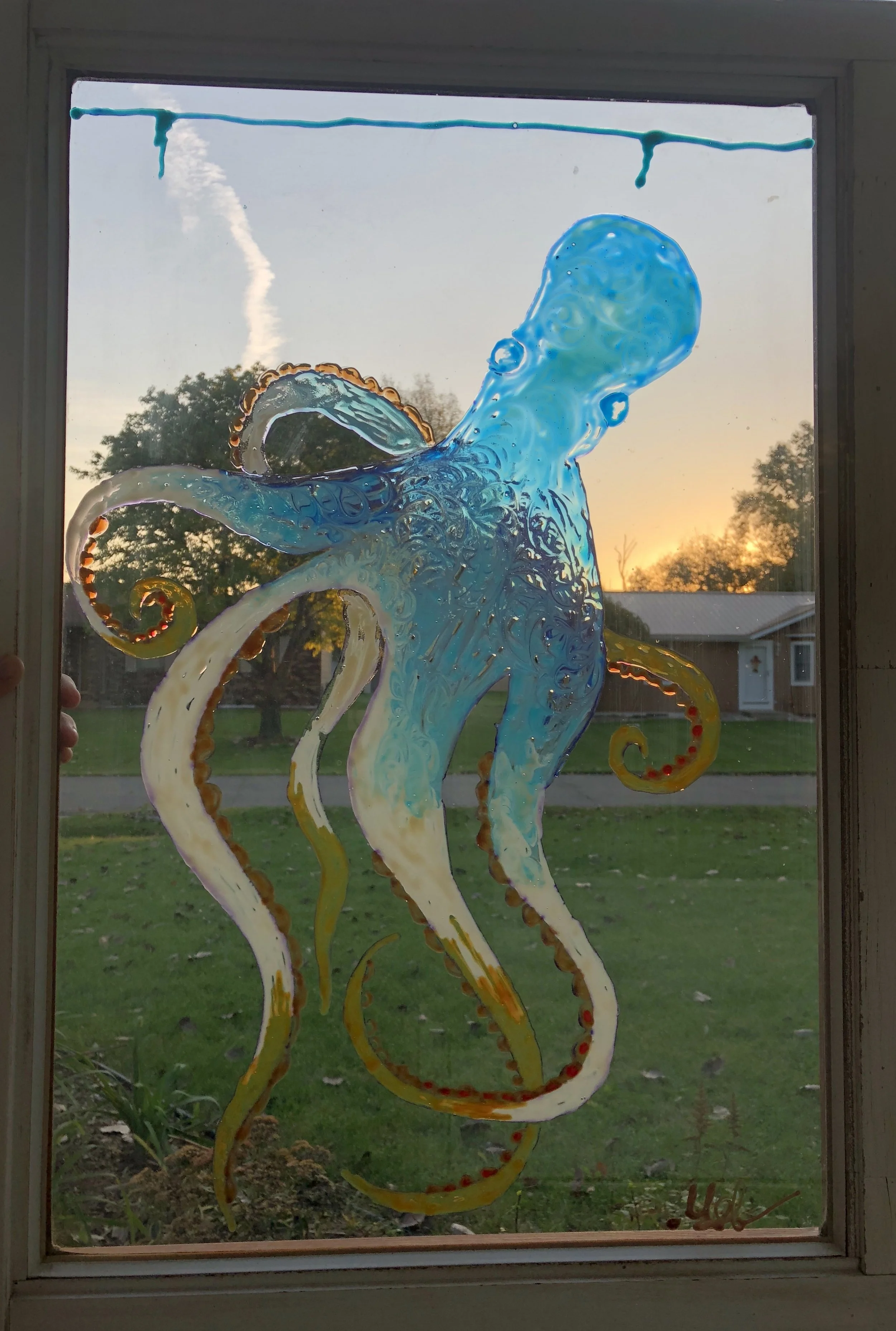 19wx27.25h Octopus light.JPG