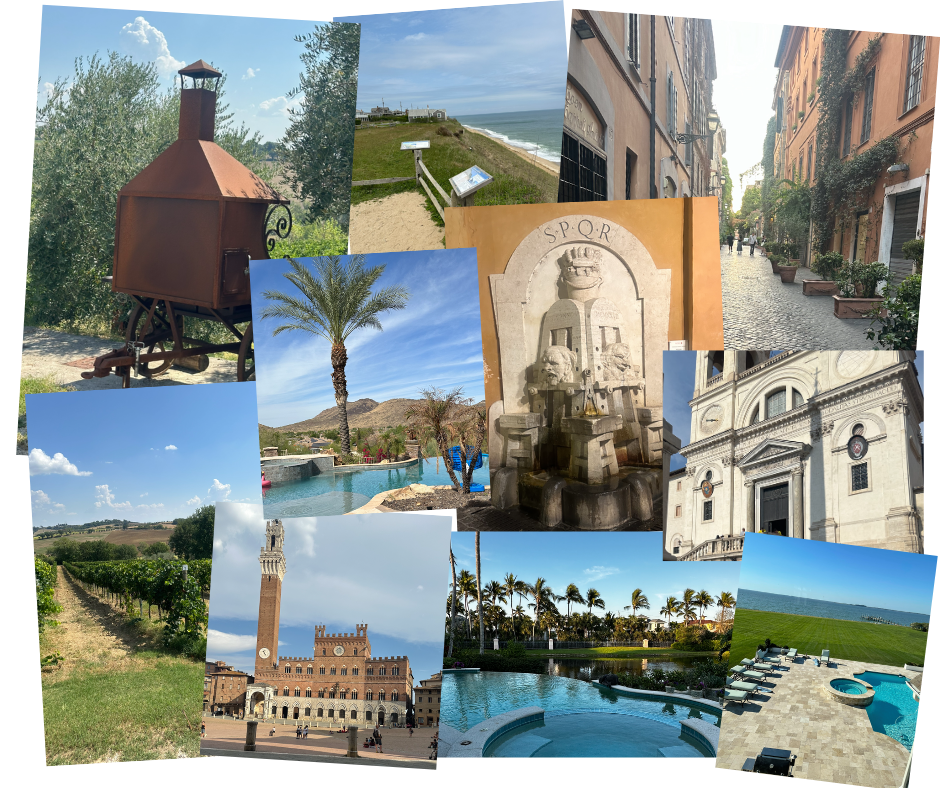 Collage of scenic travel locations, including European streets, beach paths, mountain landscapes, desert pools, and historic architecture, representing diverse destinations where family care was provided