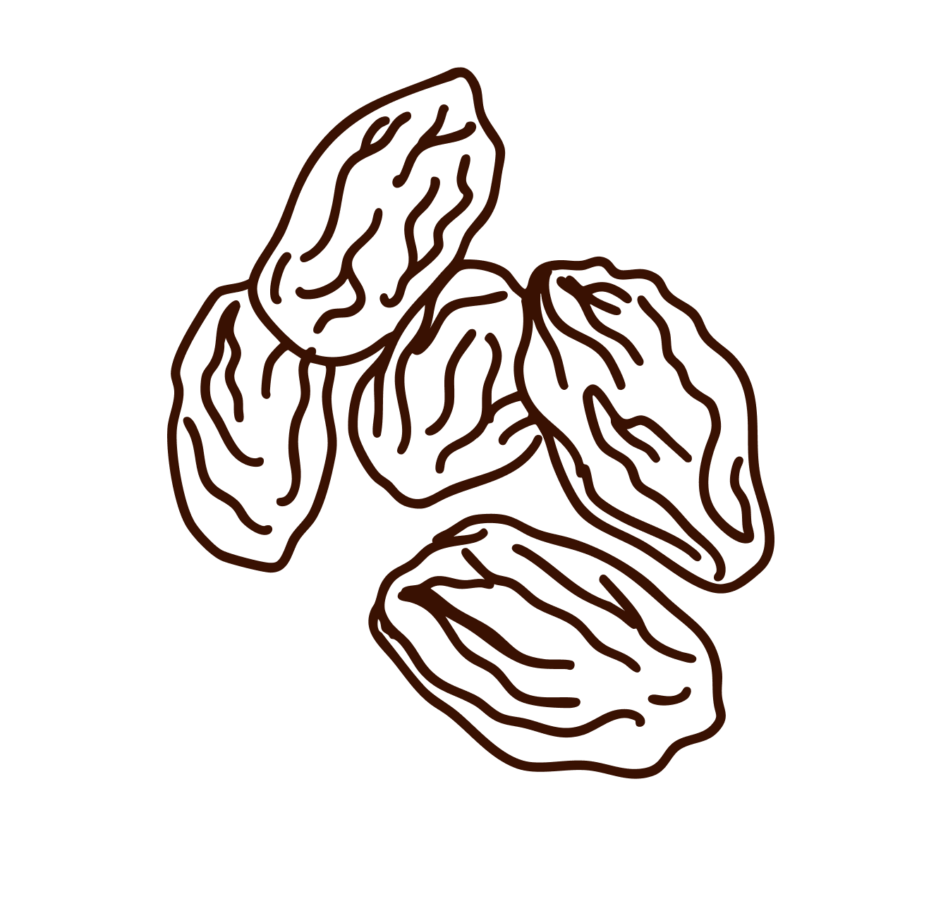Line drawing of three dates, the fruit with textured lines indicating their surface.