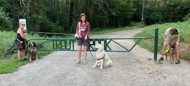 Three women with dogs at a closed, green metal gate on a gravel road in a forested area.