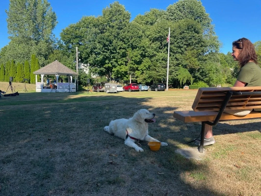 A woman sitting on a park bench with a Golden Retriever lying on the ground nearby, in a park with trees, a gazebo, and a clear blue sky.