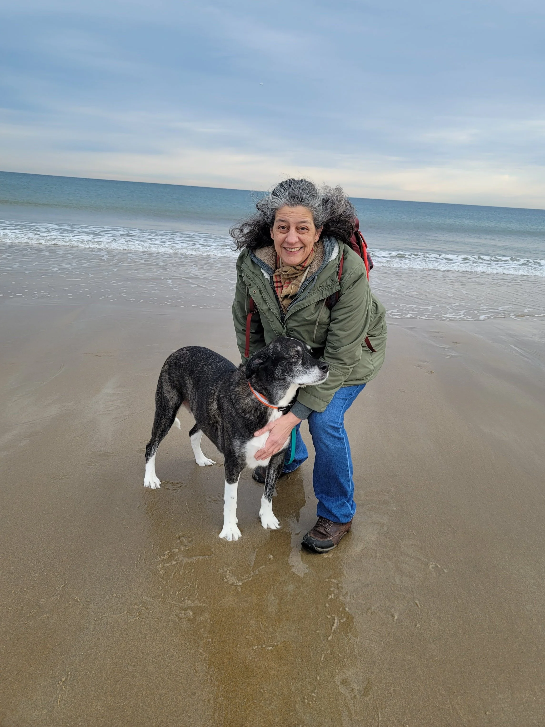 A woman and her dog on the beach with ocean waves in the background.