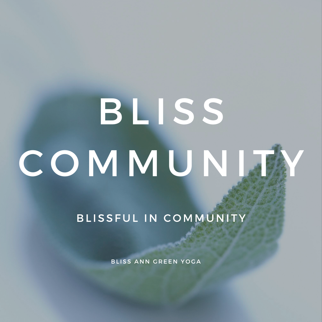 Our Entire Studio Has Gone Online