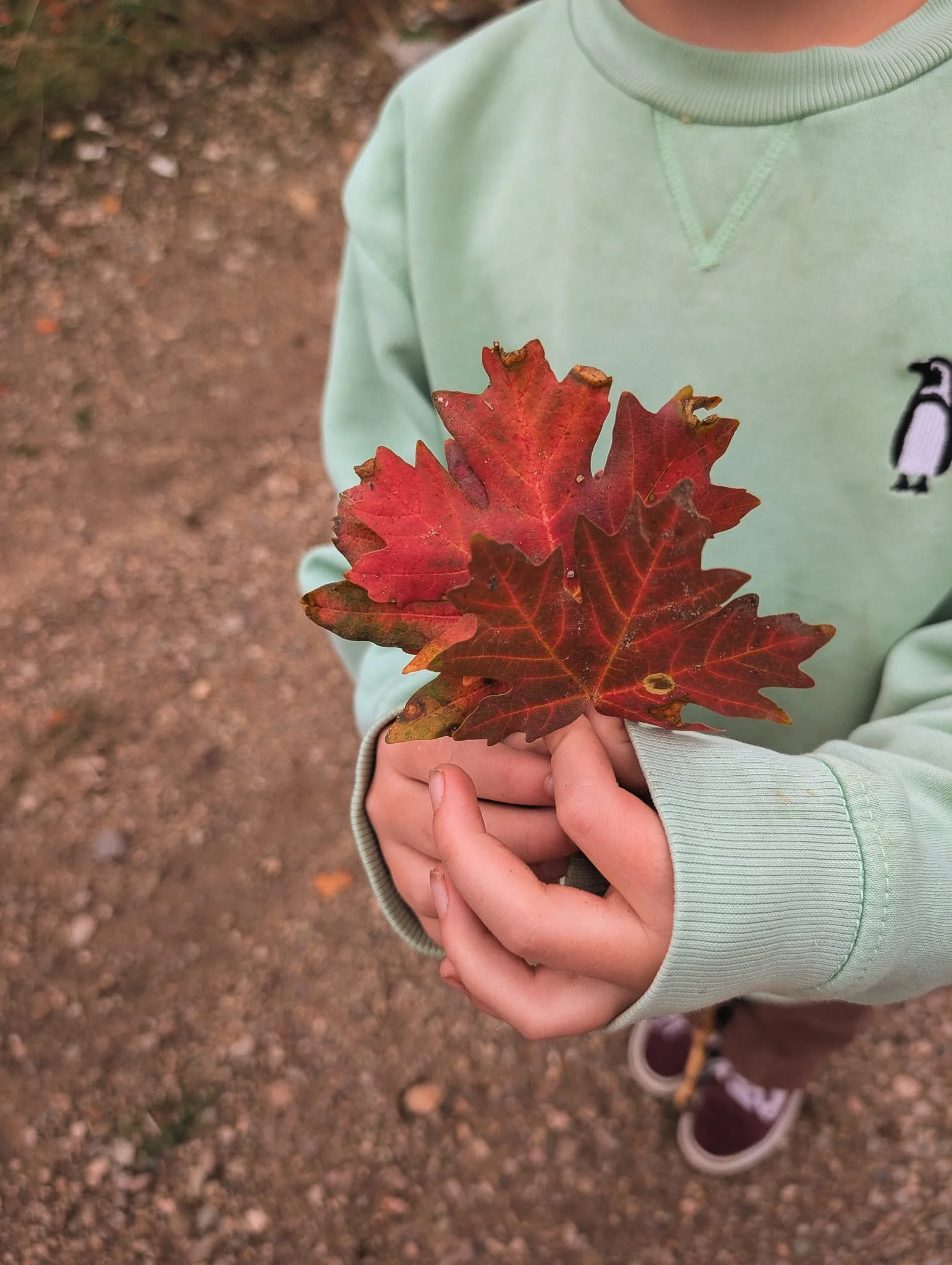 Makig a leaf bouquet.jpg