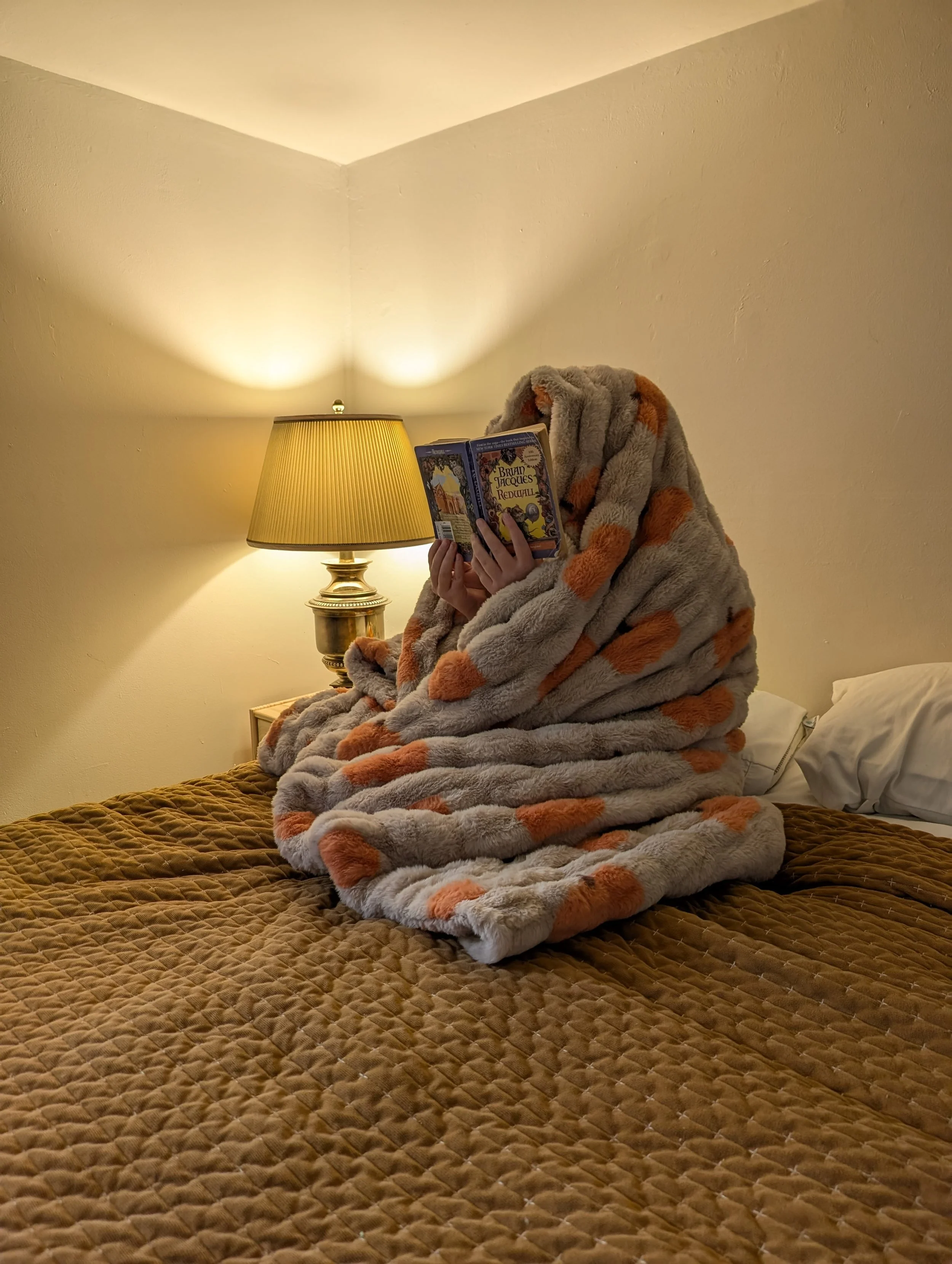 New Cozy Blanket from Minky Couture.jpg