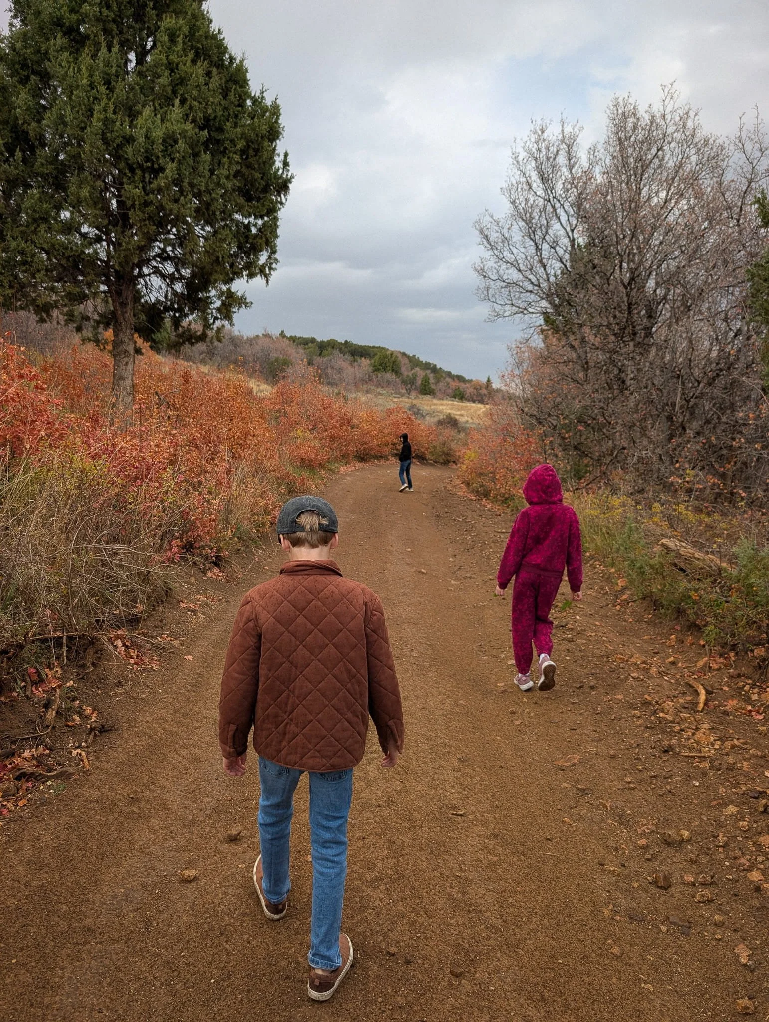 On a rainy fall walk.jpg