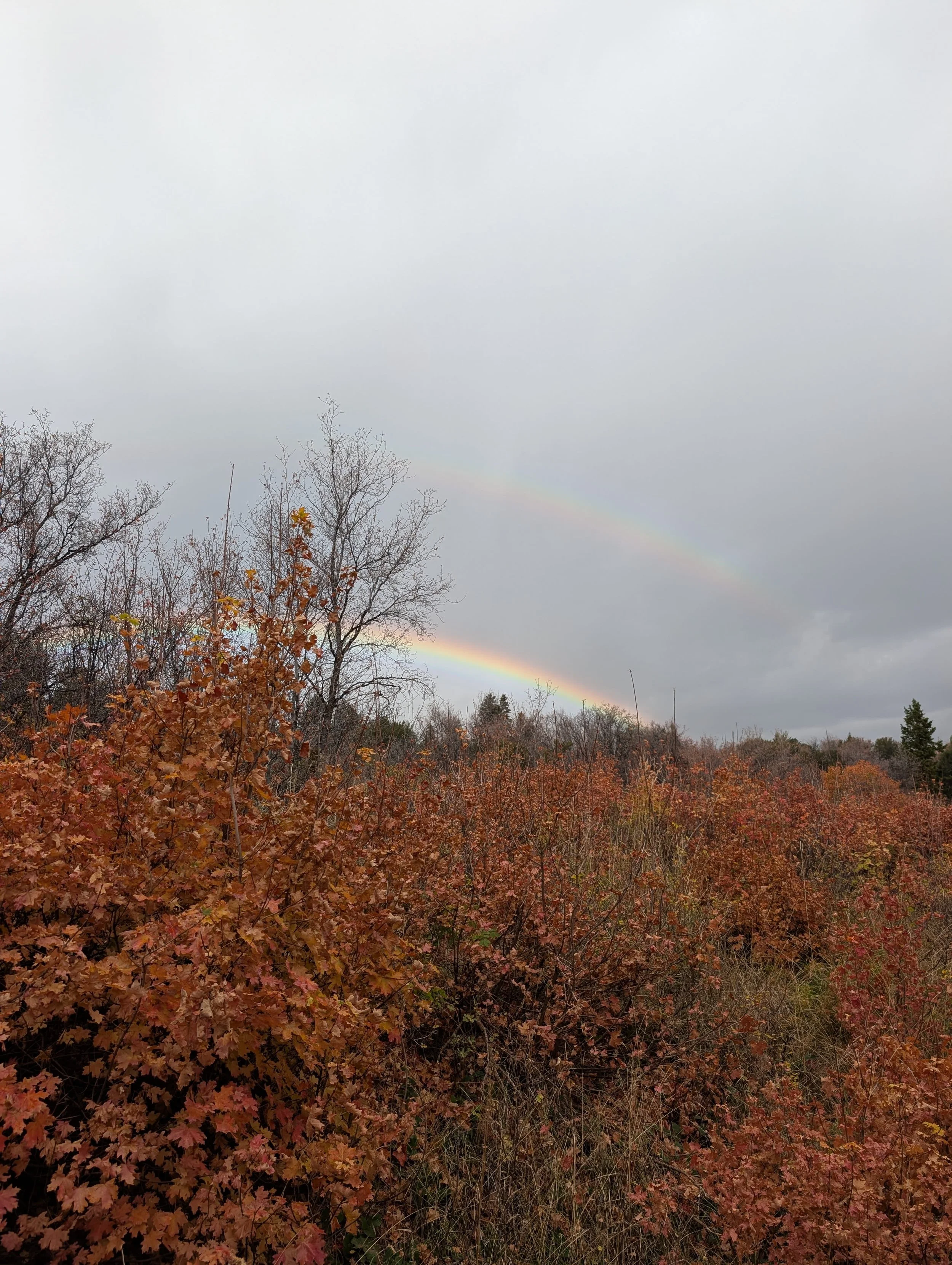 Saw a double rainbow.jpg