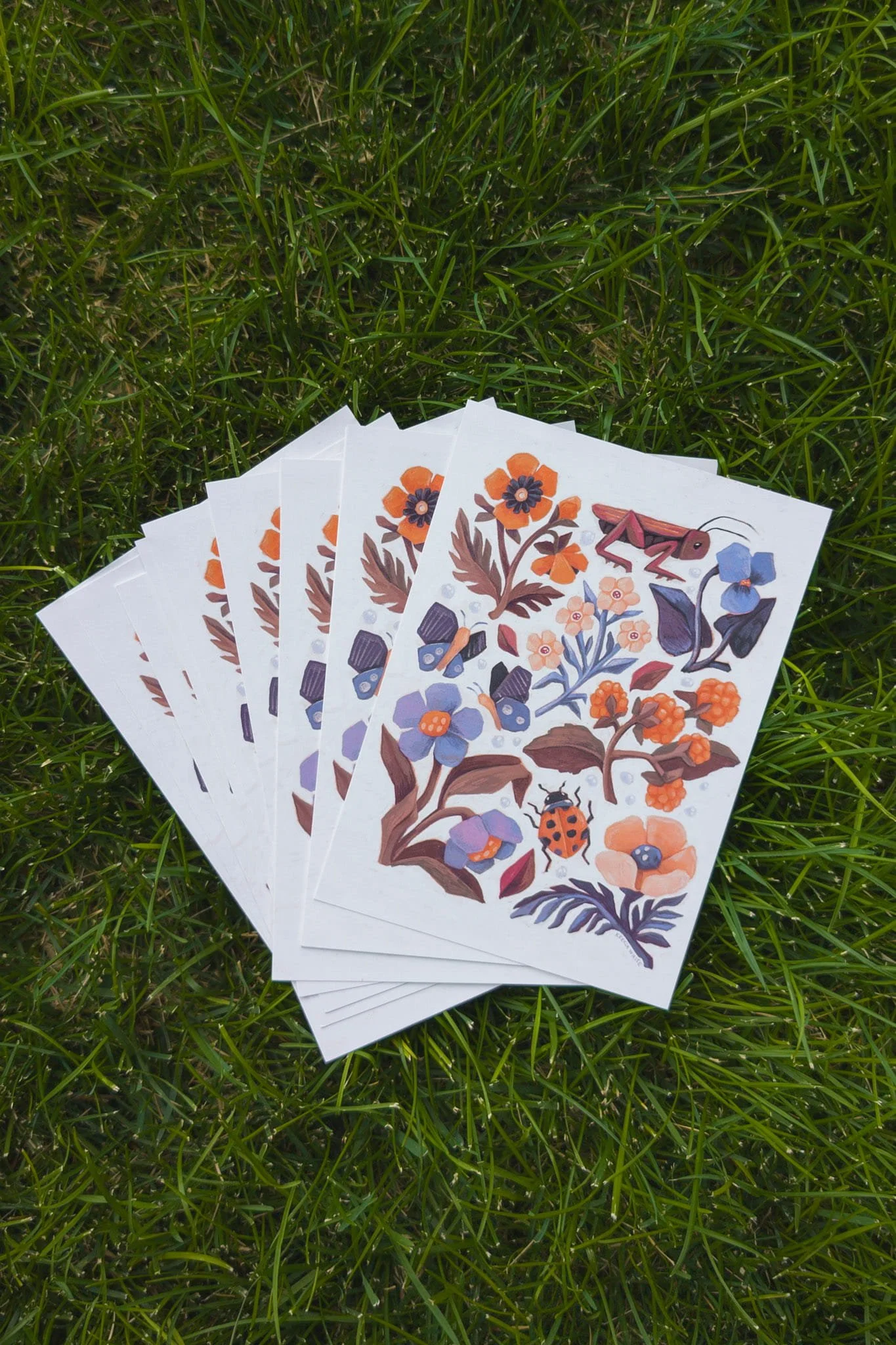 Cricket & Ladybug Botanical Postcards| Vintage Garden Art | Pack of 10