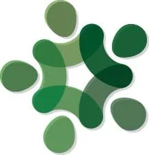 Collaborative Solutions Consulting