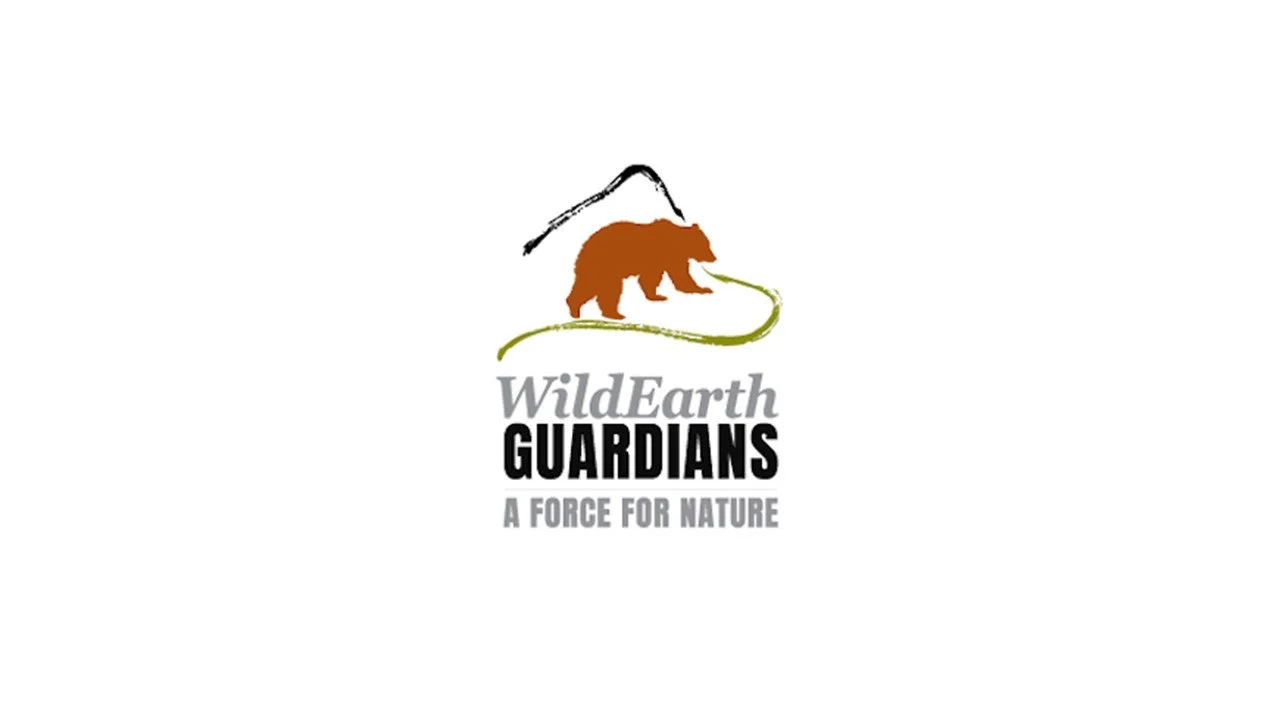 Finance Manager | Wild Earth Guardians