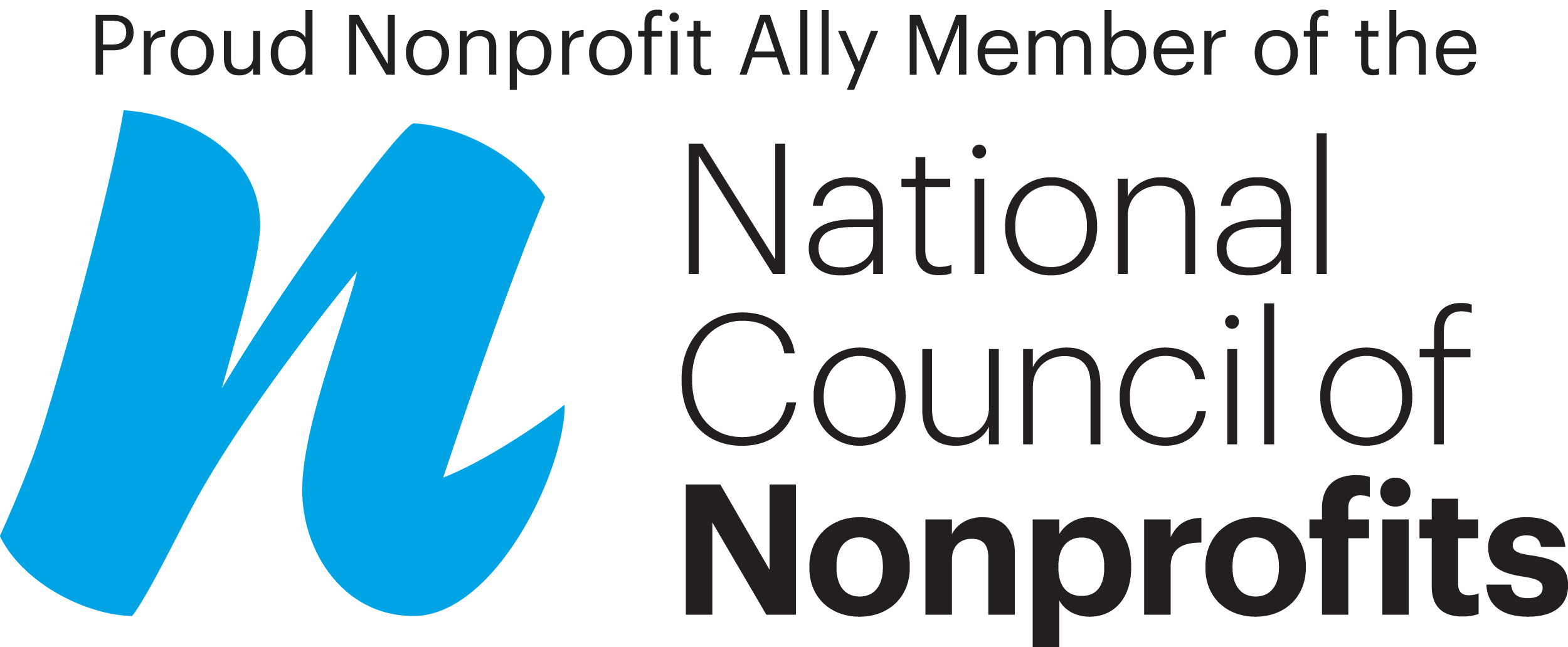 Logo of the National Council of Nonprofits featuring stylized blue letter 'N' and black text