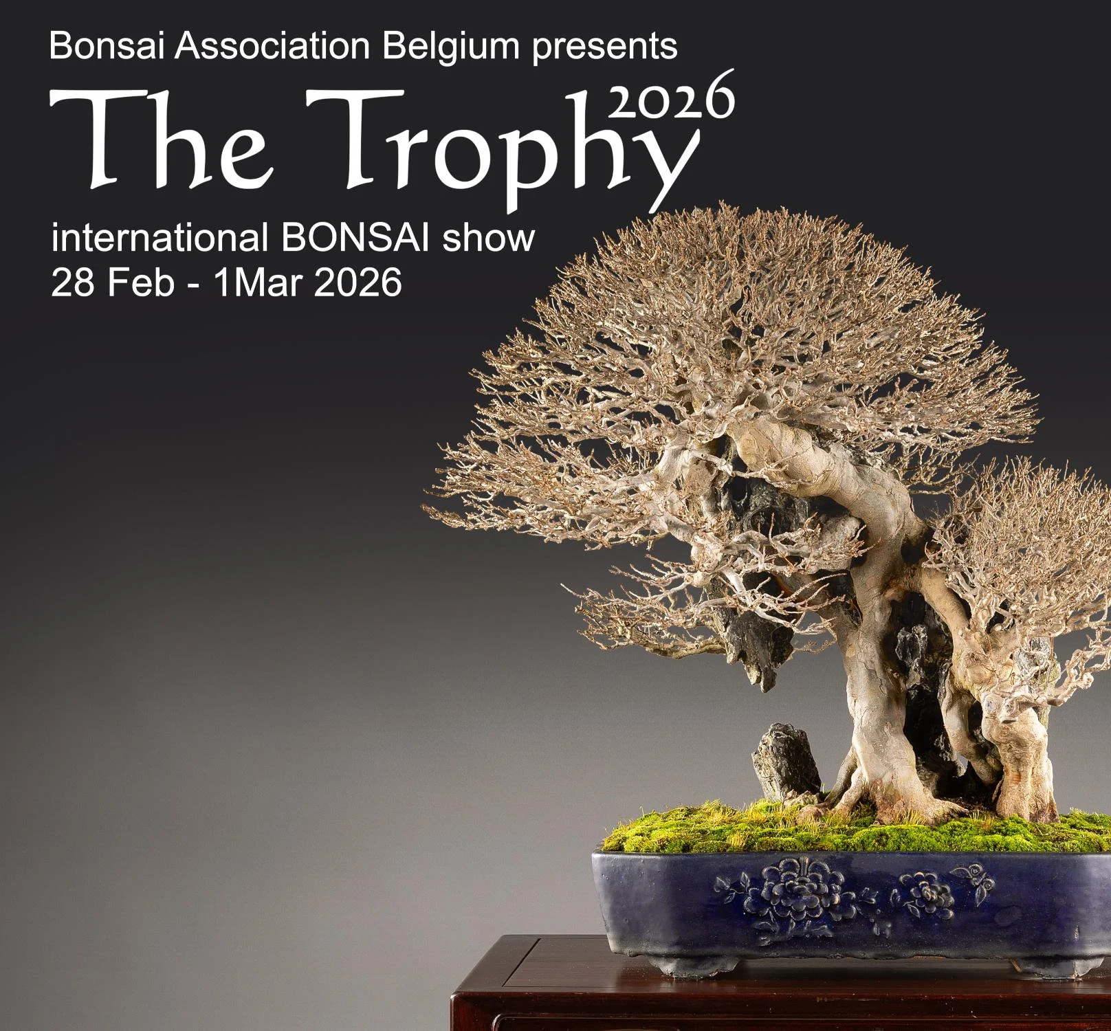 European Bonsai Pottery Contest 2026