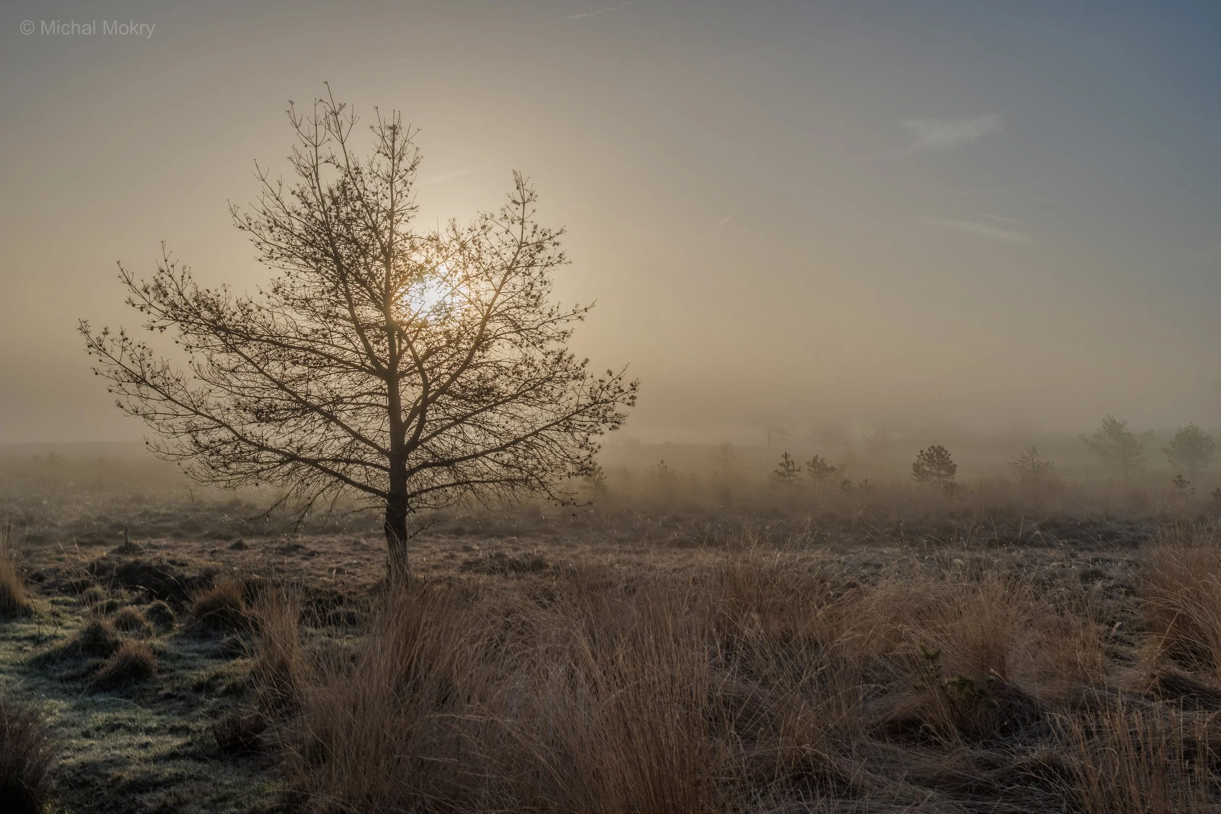 IMG_9538-HDR.jpg