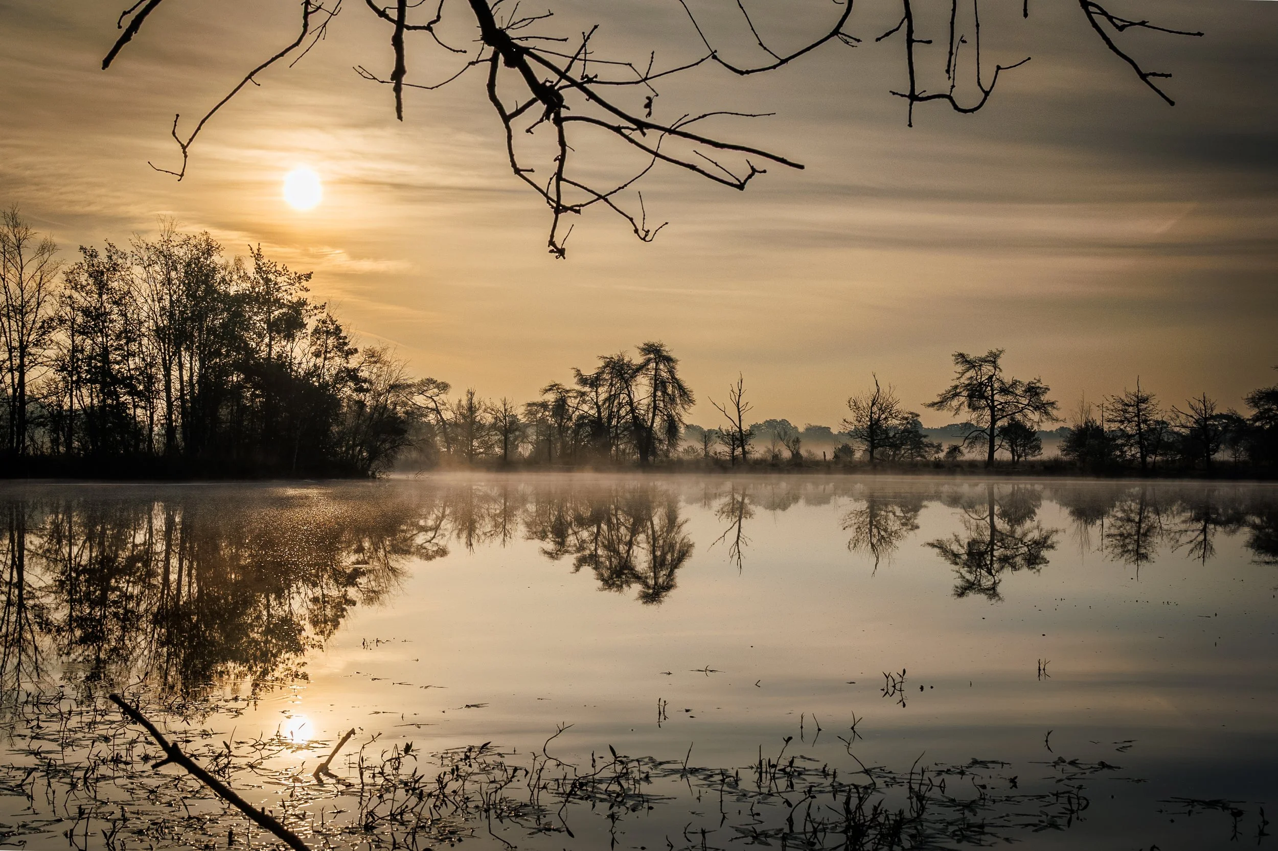 IMG_0437-HDR.jpg