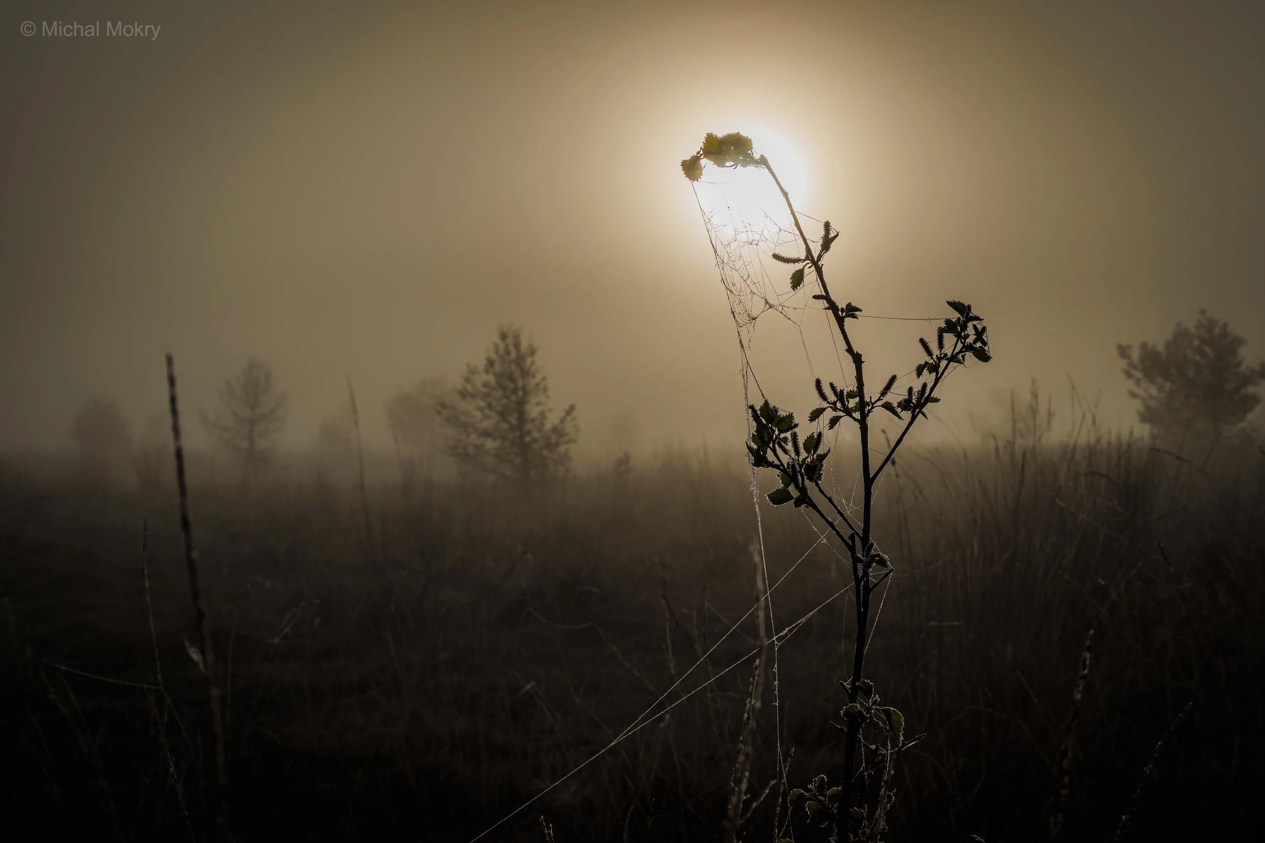 IMG_9550-HDR.jpg