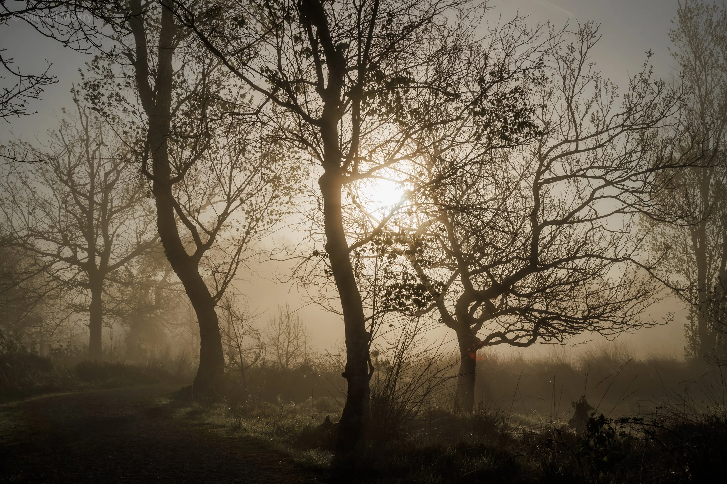 IMG_9558-HDR.jpg