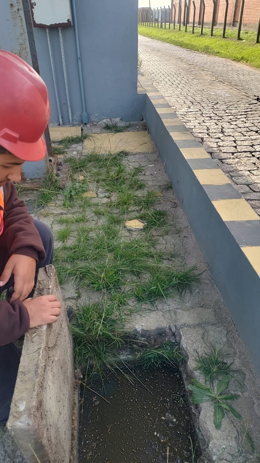 WhatsApp Image 2025-12-01 at 17.29.33.jpeg