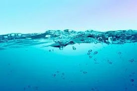 Water  Safety Management Plans