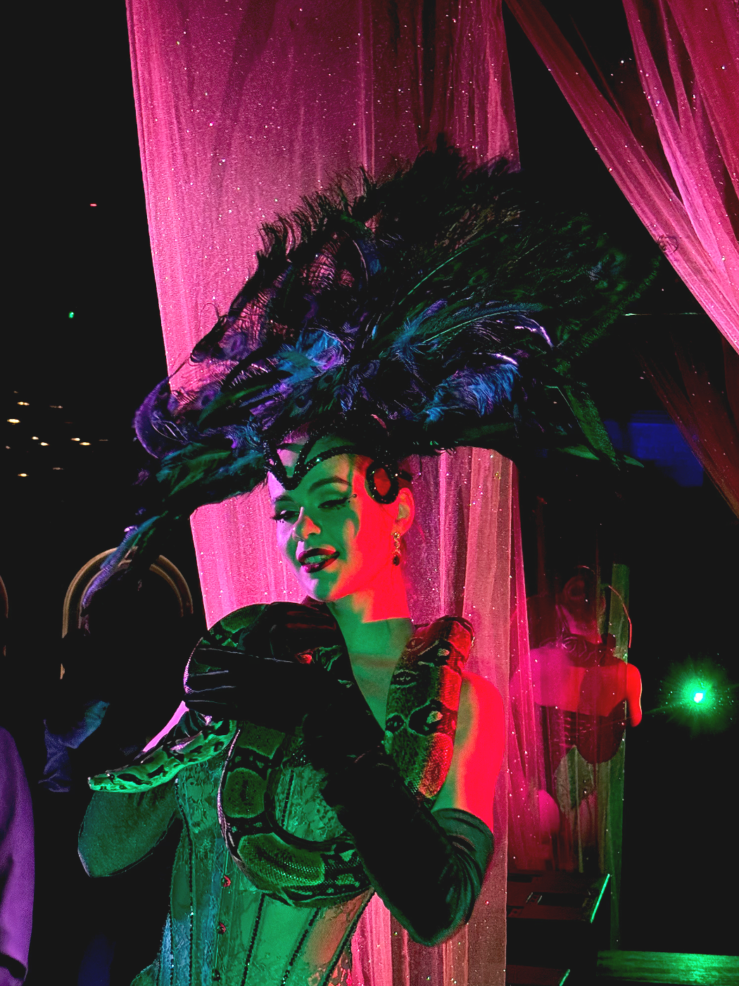 A performer in an elaborate costume with a large feathered headpiece, dark gloves, and a black and gold outfit, holding a snake on her arm, during a stage show with pink and green lighting.
