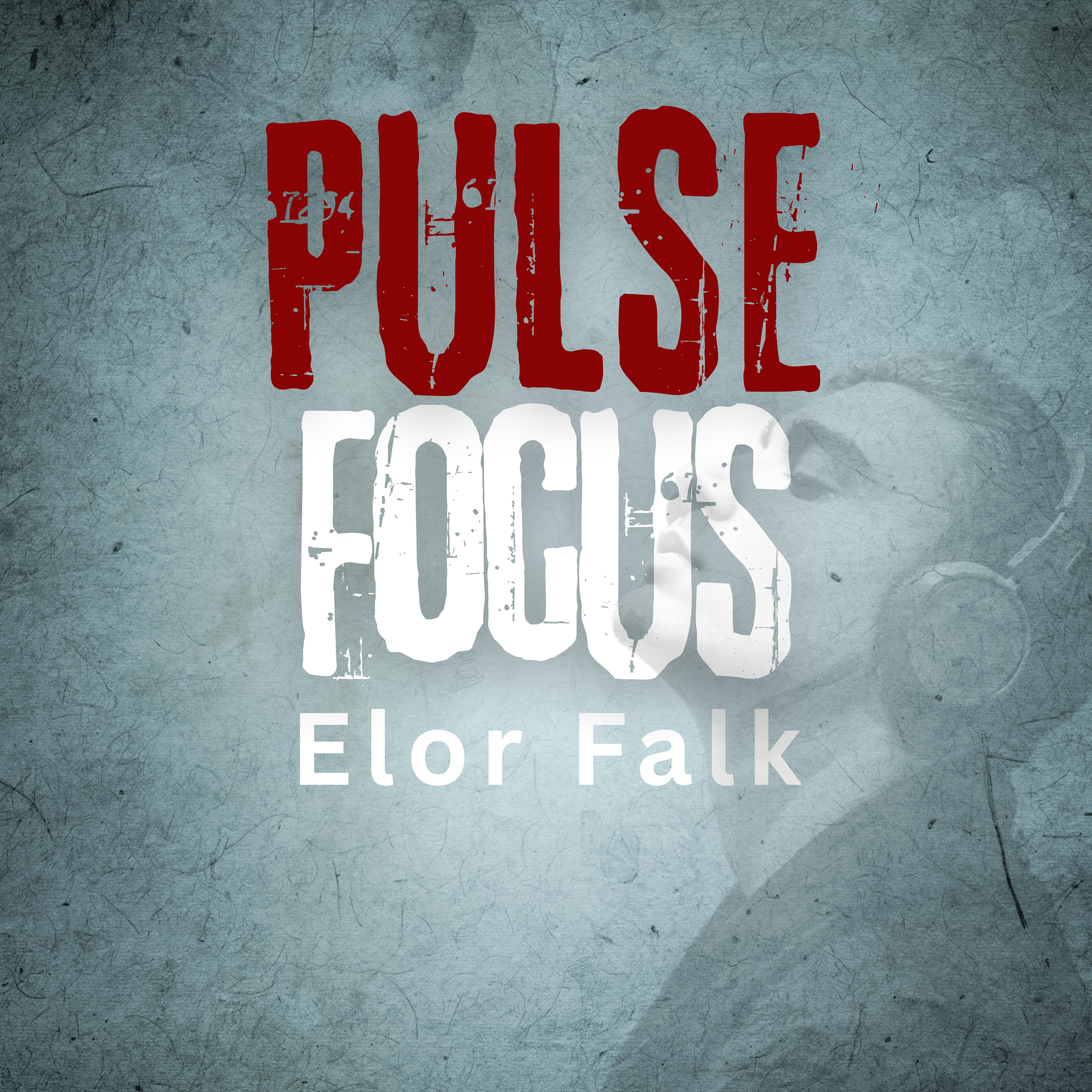 Buchcover mit aufgedrucktem Text »Pulse Checks« von Elor Falk, dunkle und graue Hintergrundgestaltung.