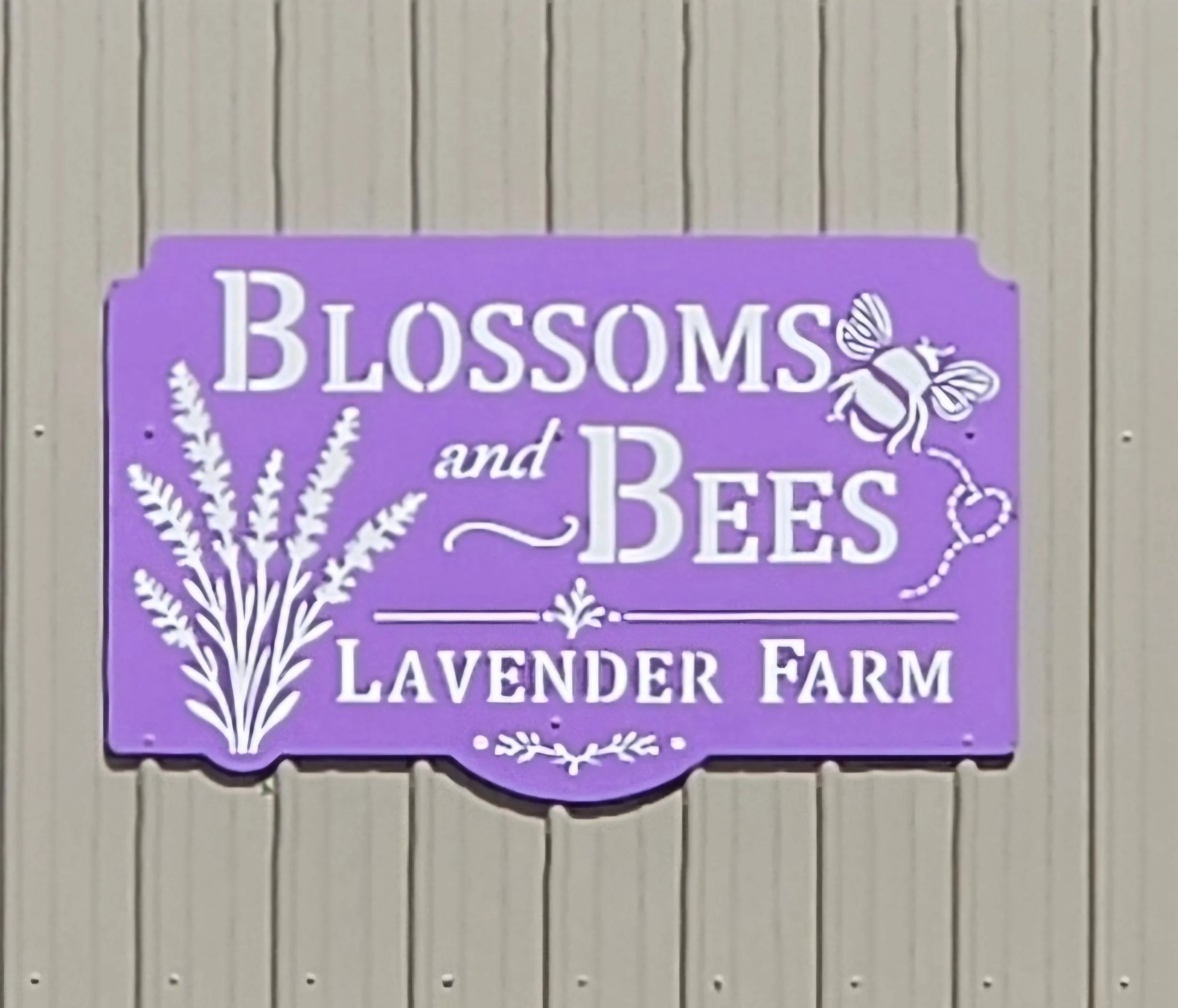 Lavender Farm season opening