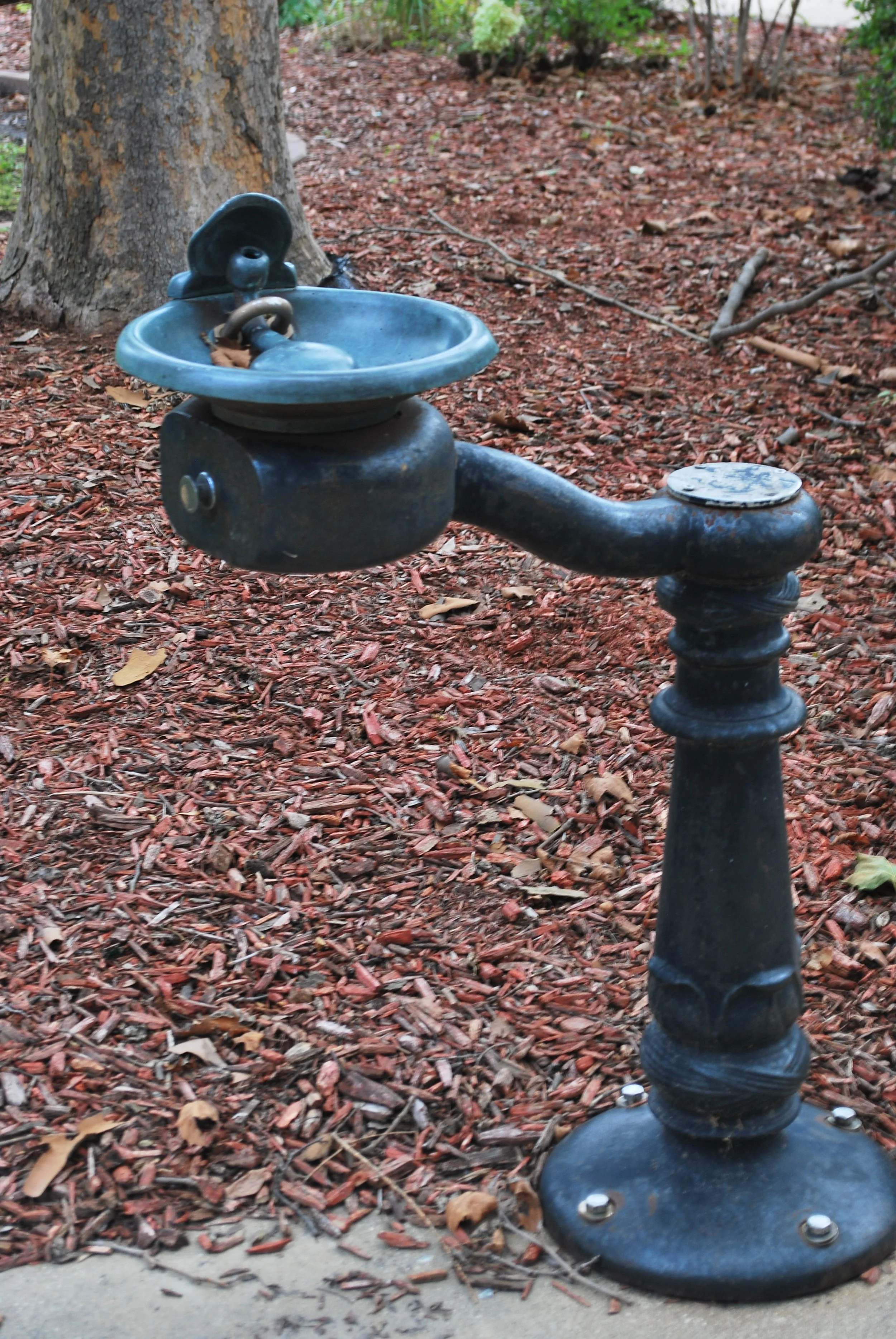 DSC_0448.JPG