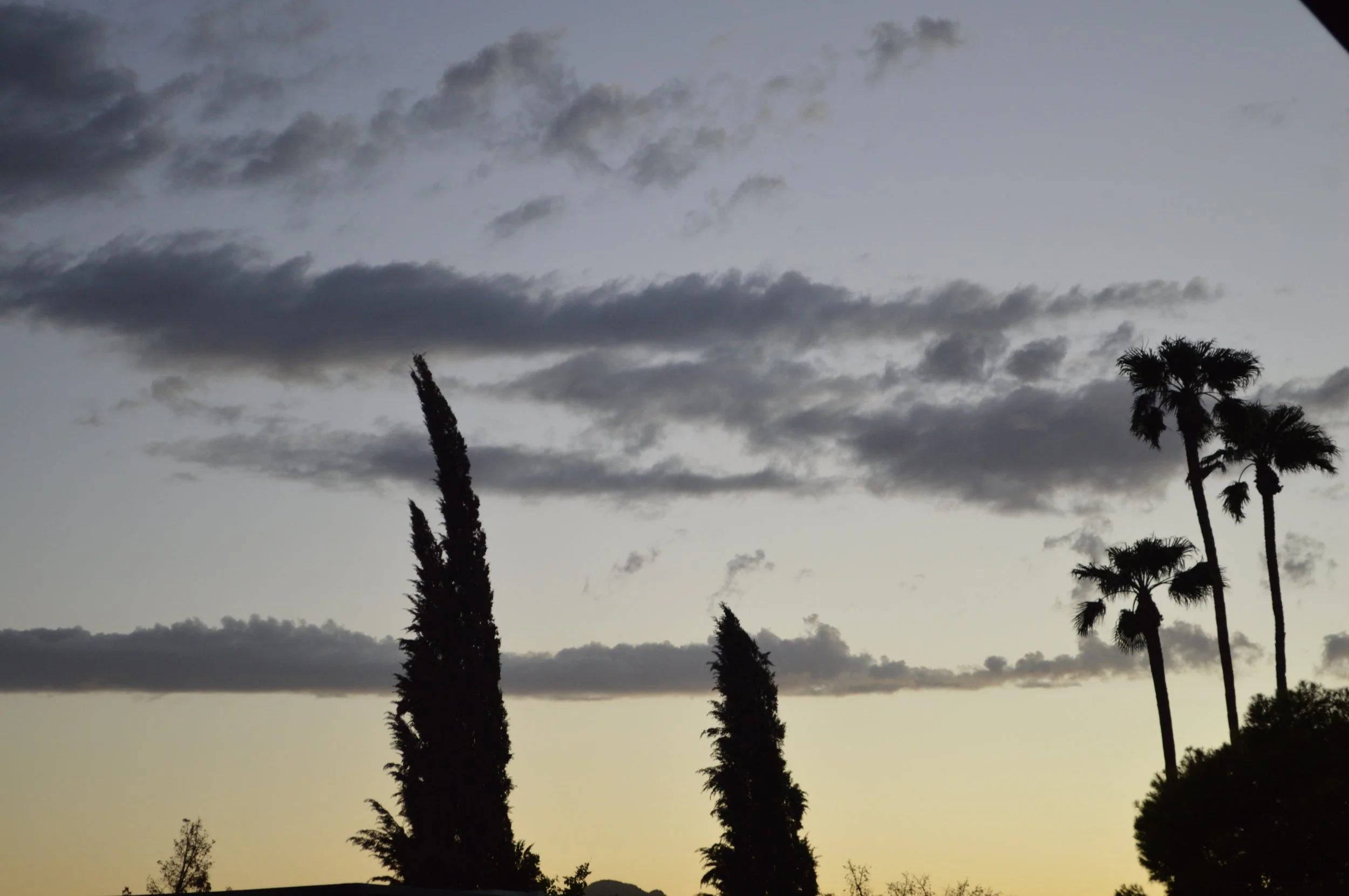 DSC_3098.JPG