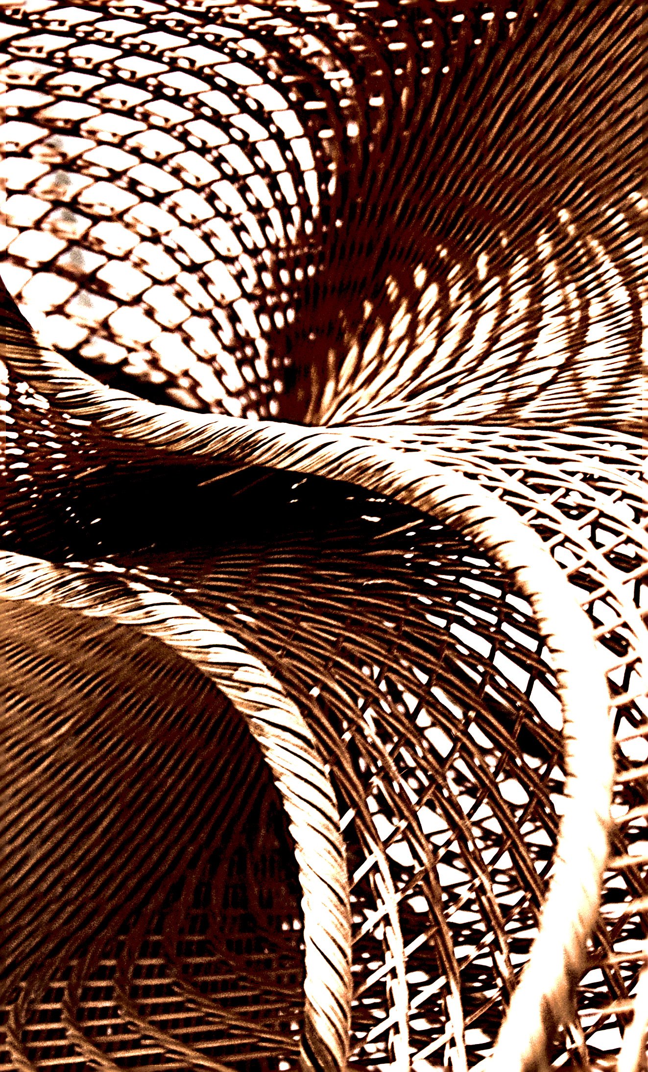 Intricate Woven Art Sculpture